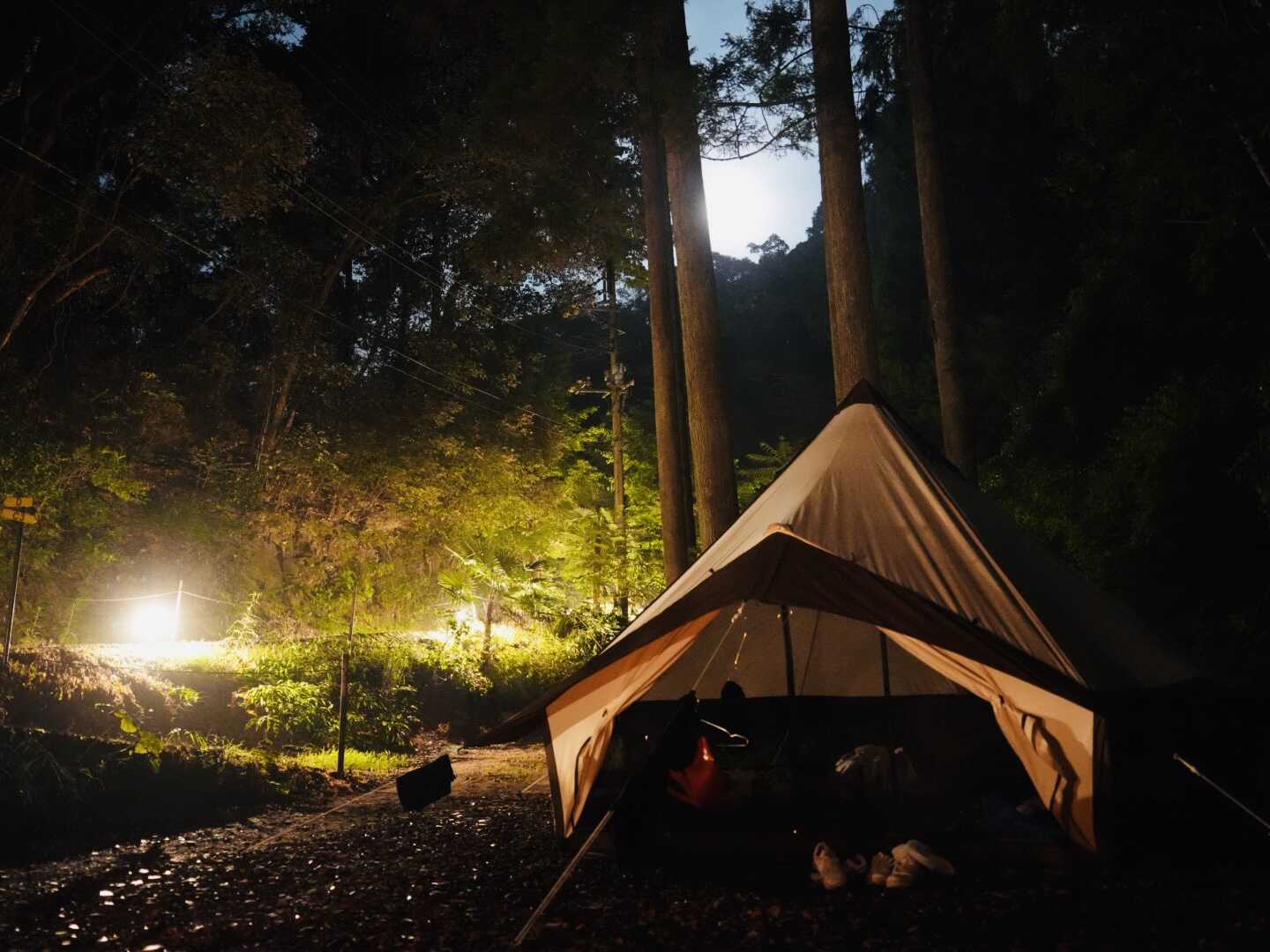 夜のさいと