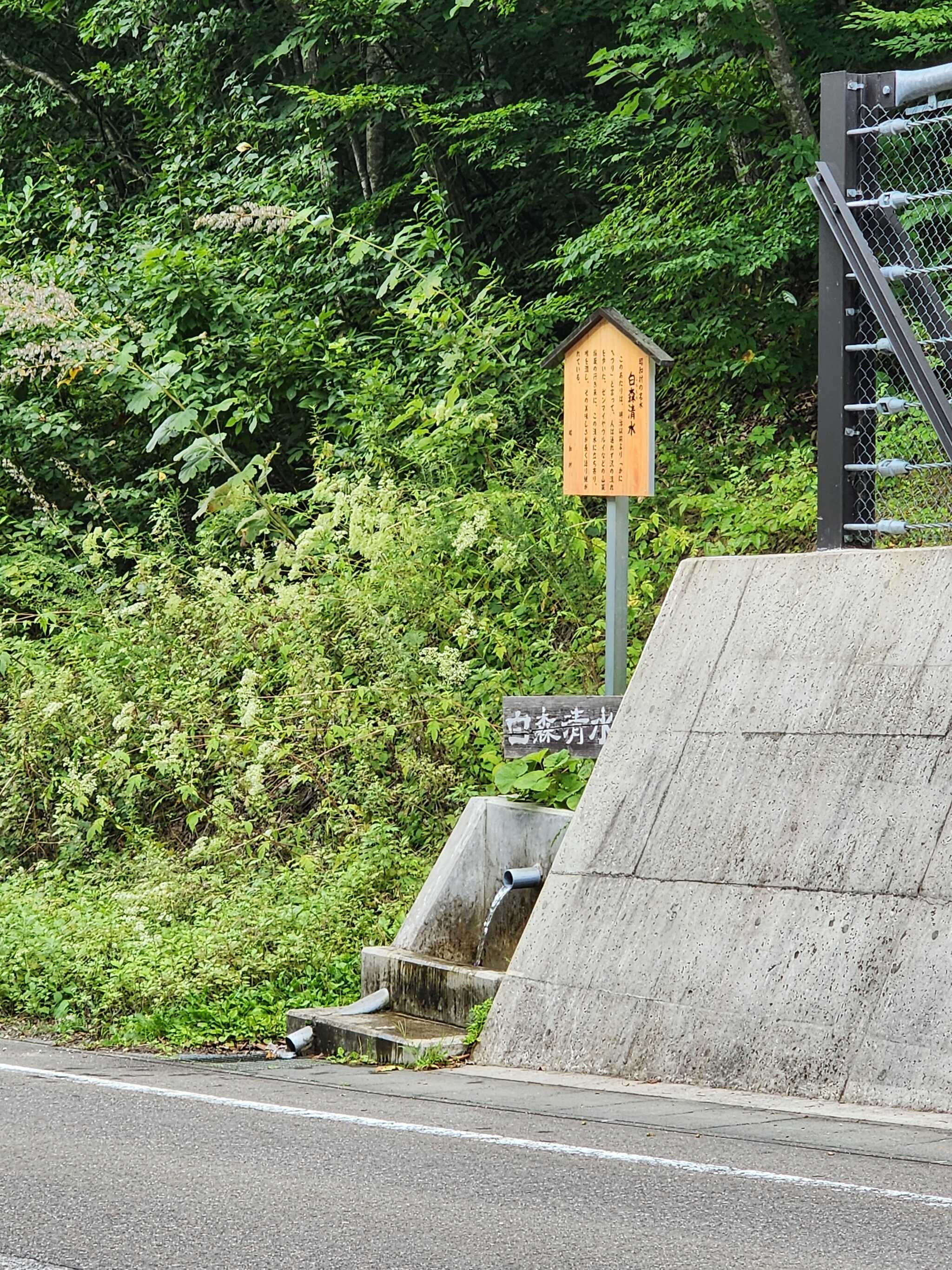 近くの湧水、お勧め