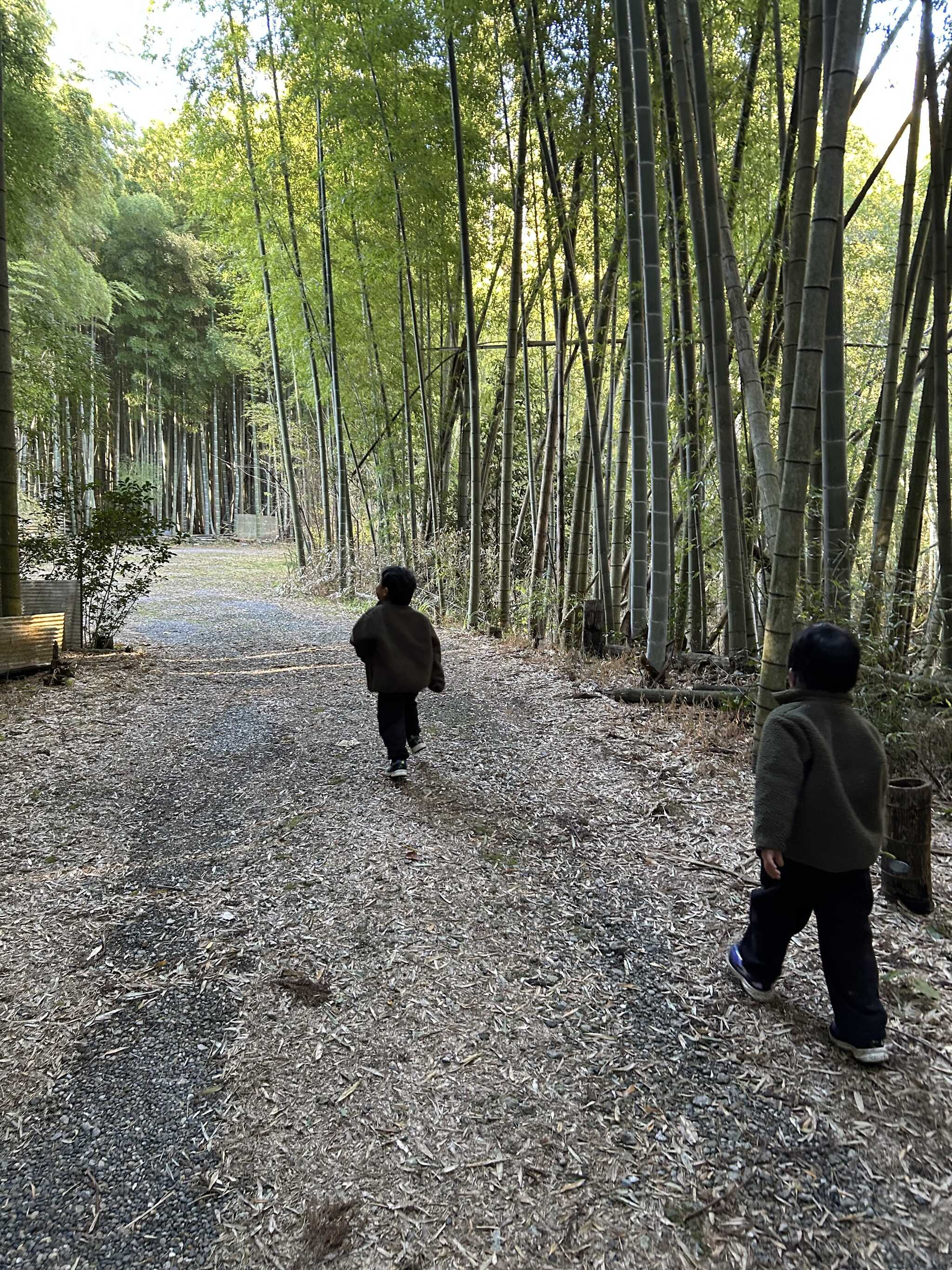 竹林