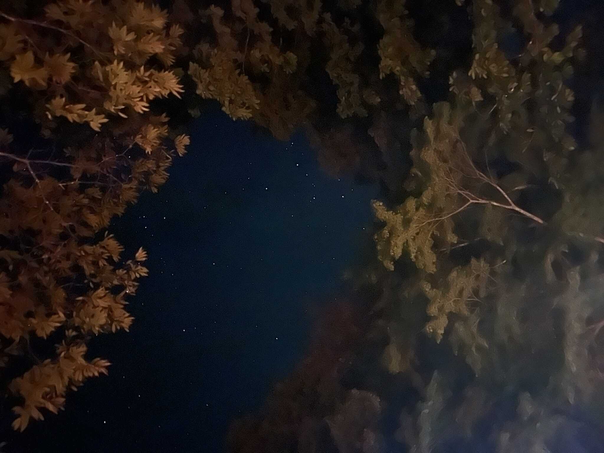 サイトからの星空(iPhone)