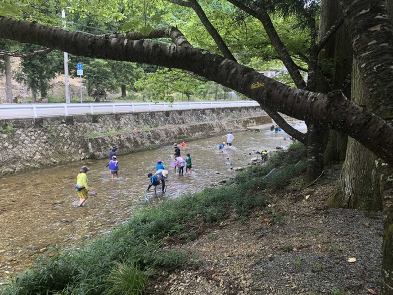 佐中ふれあいの里の写真 5枚目