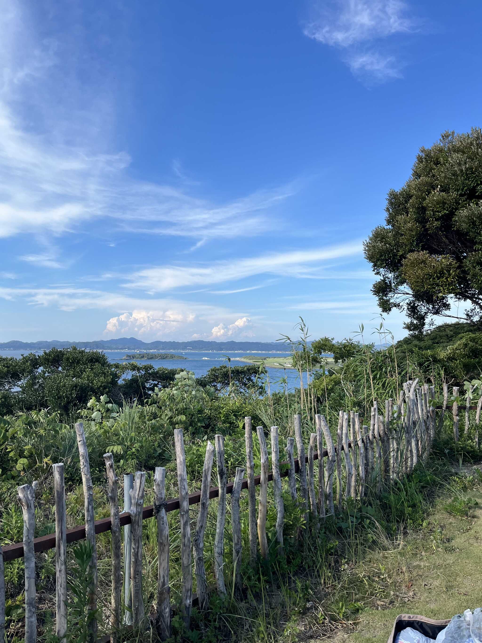 海が見える