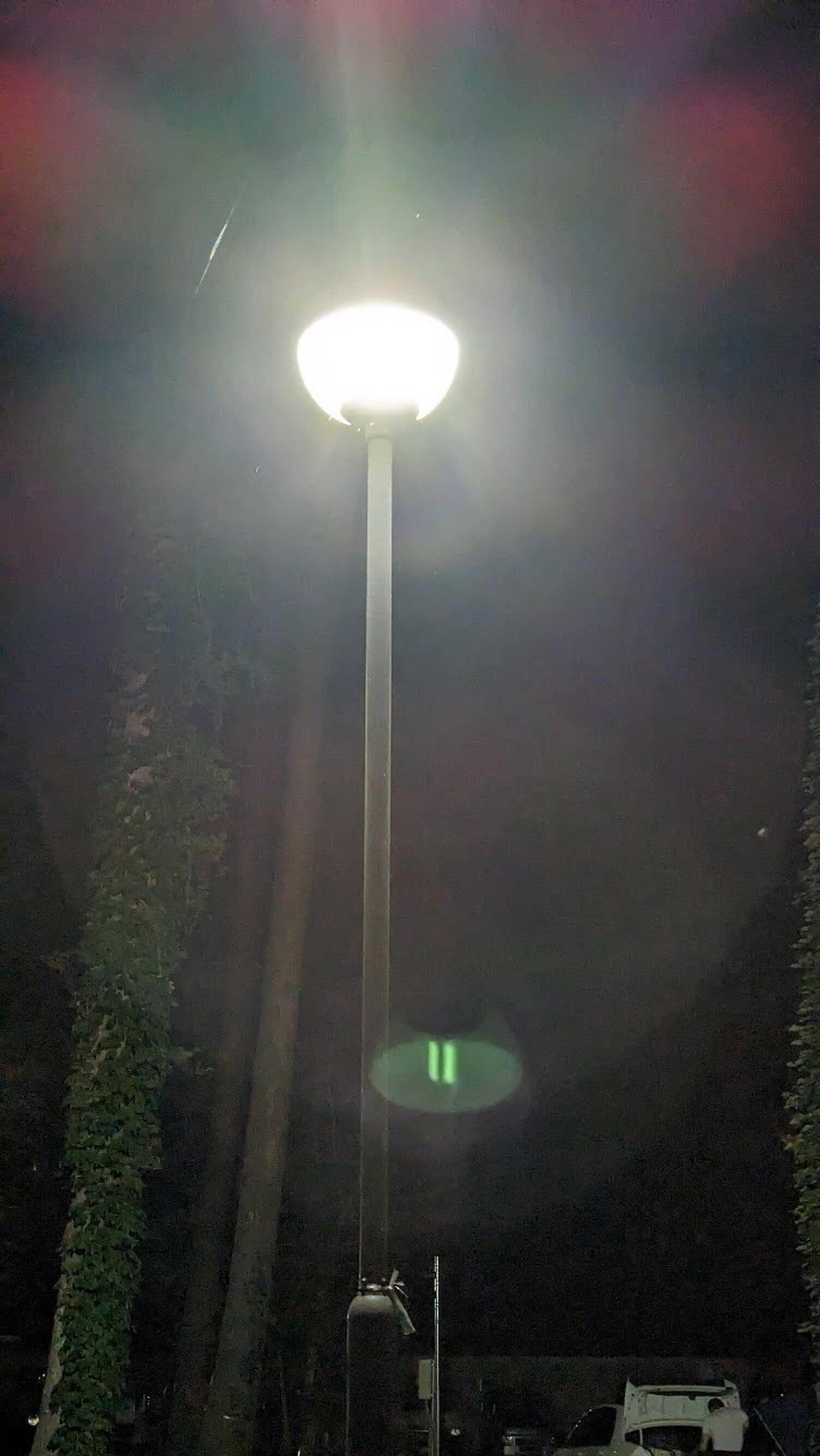 サイトの真横の街灯