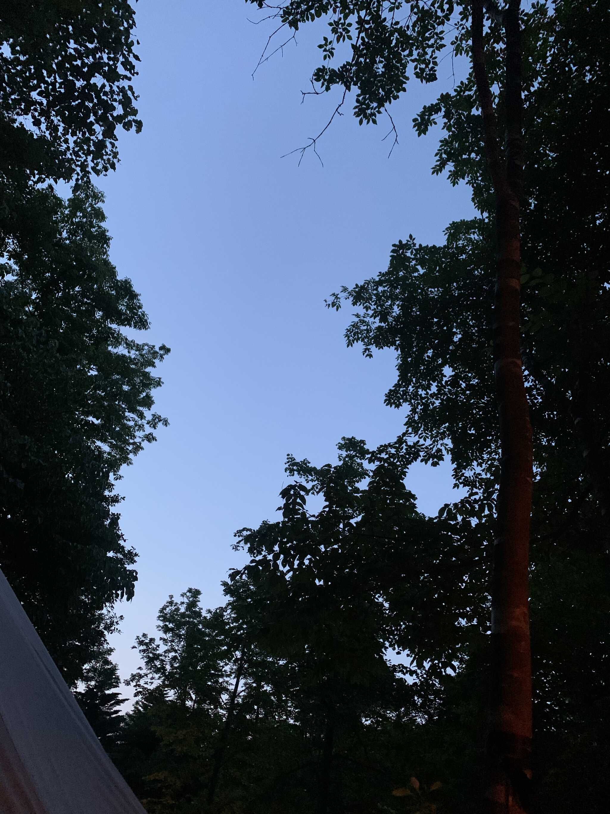 夕方の空