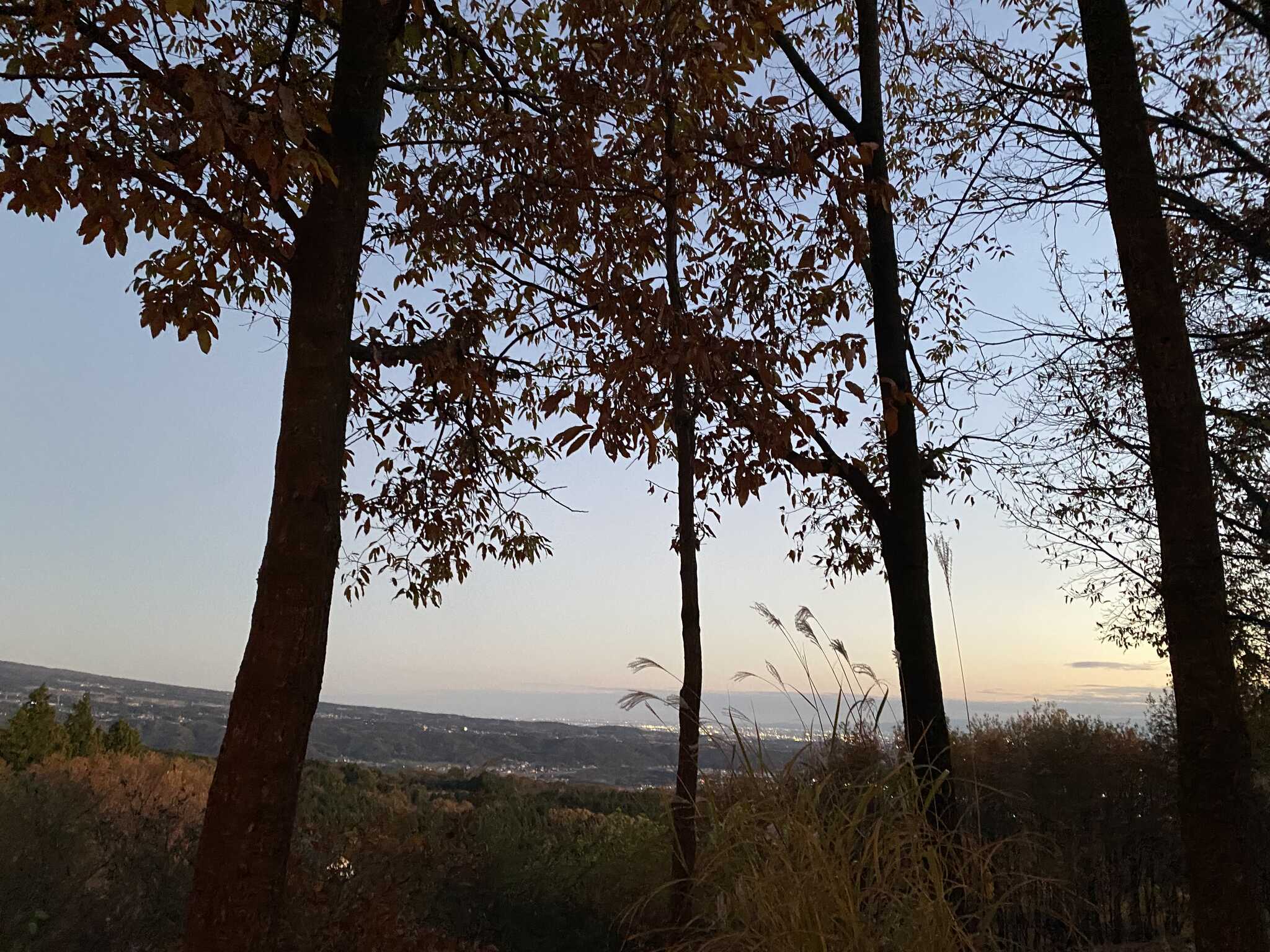 夕方