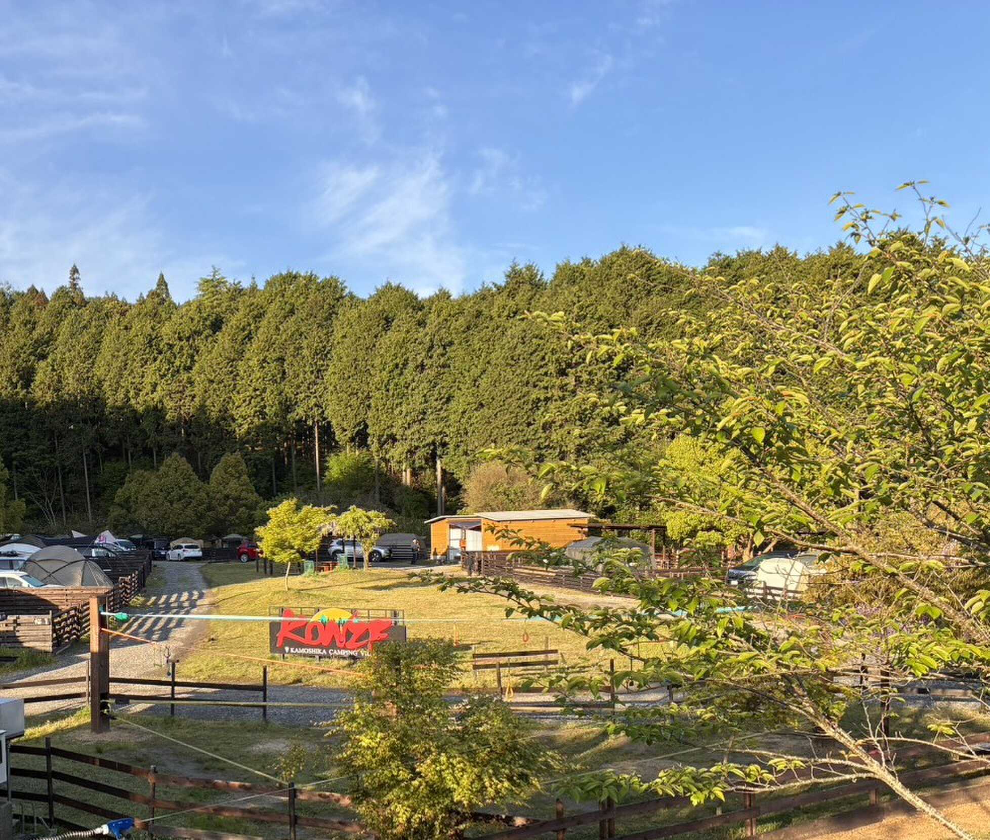朝の1枚