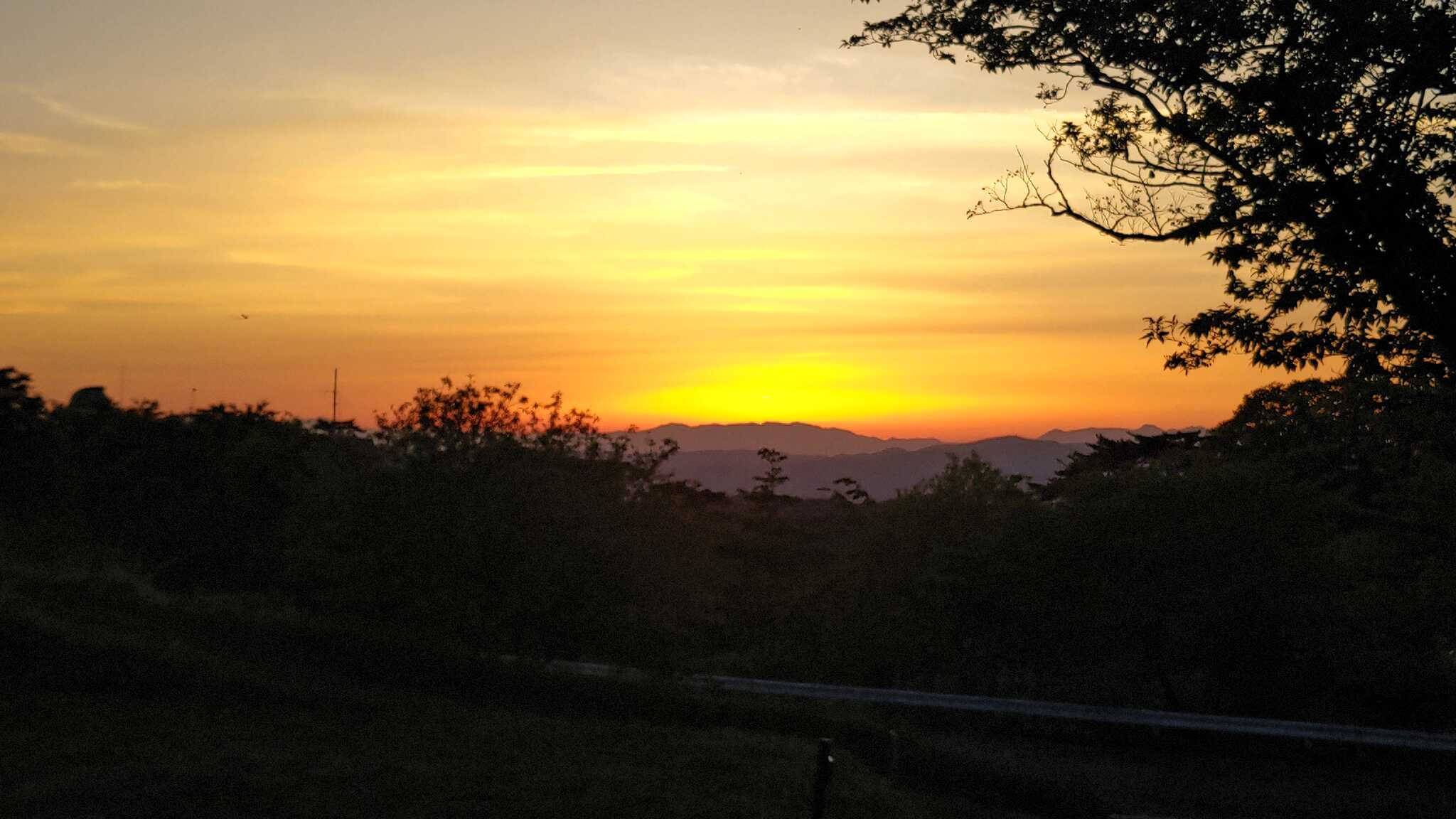 夕日