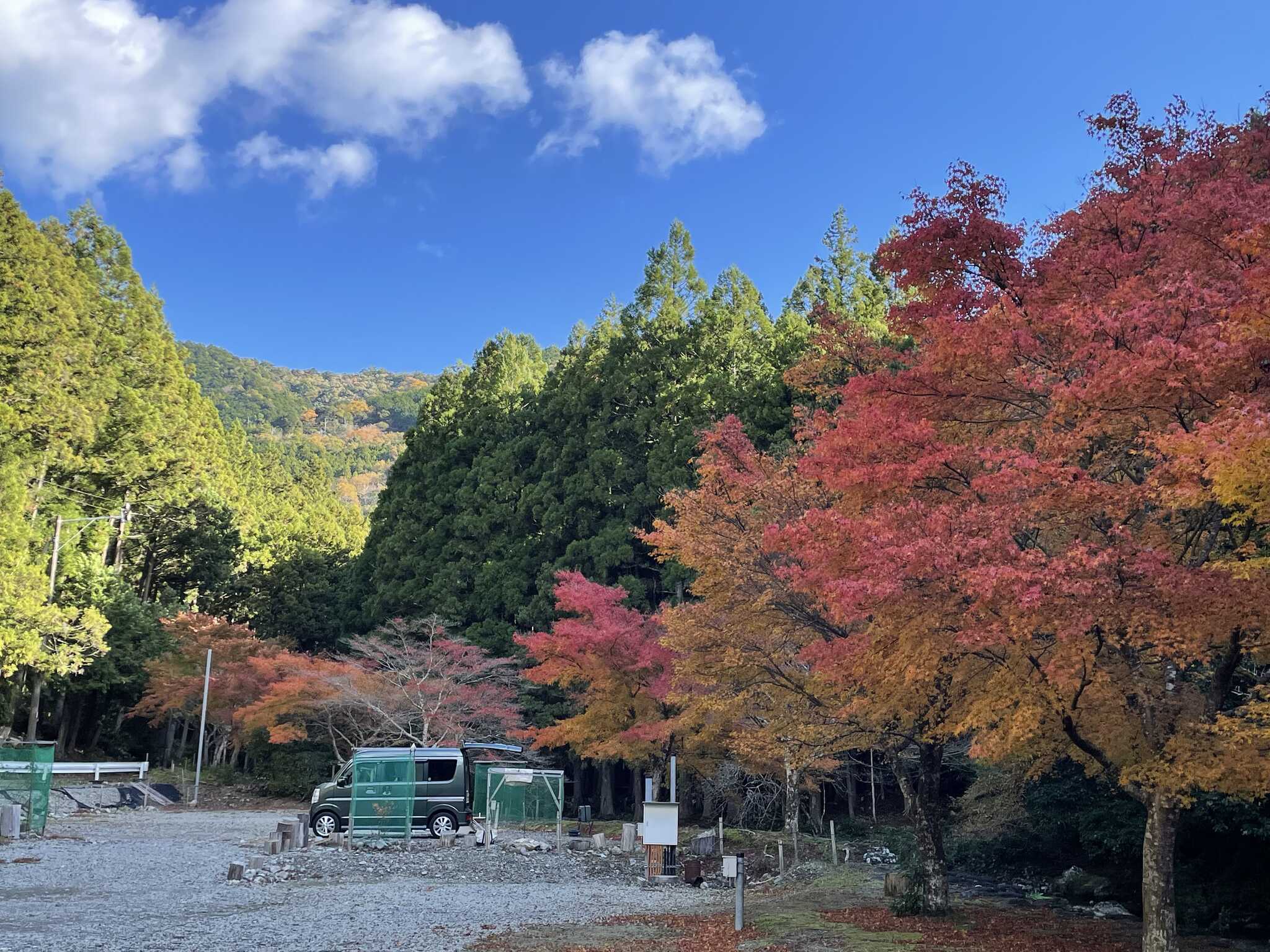 紅葉が綺麗です。