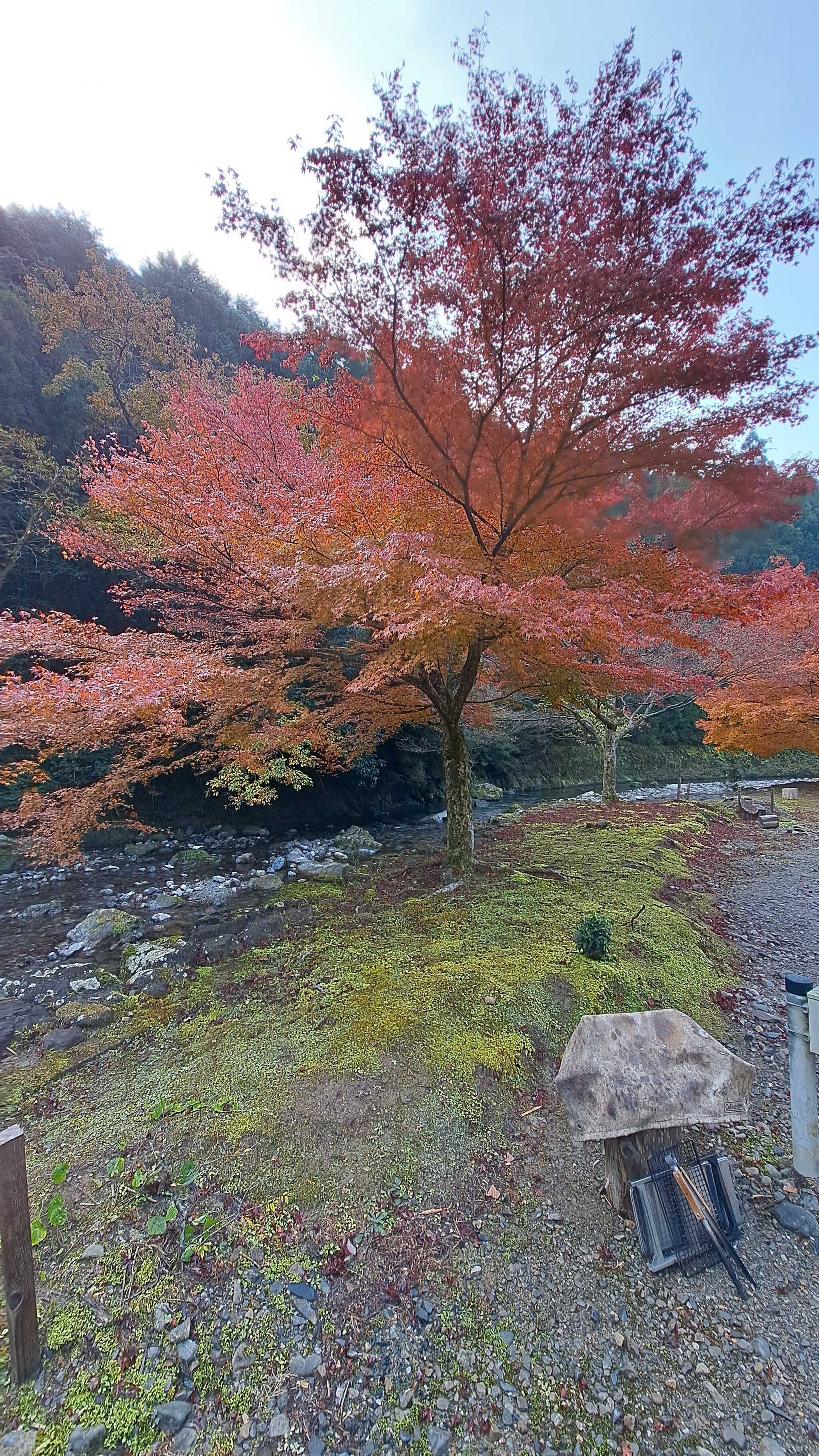 景色