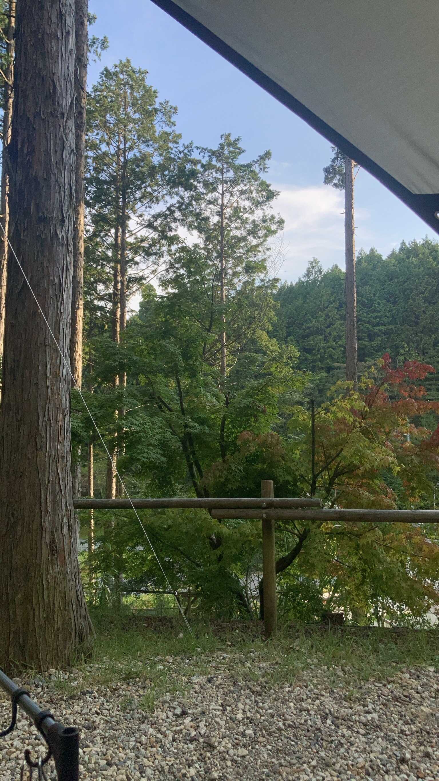 テント内から