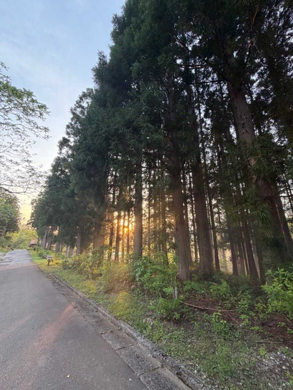 場内