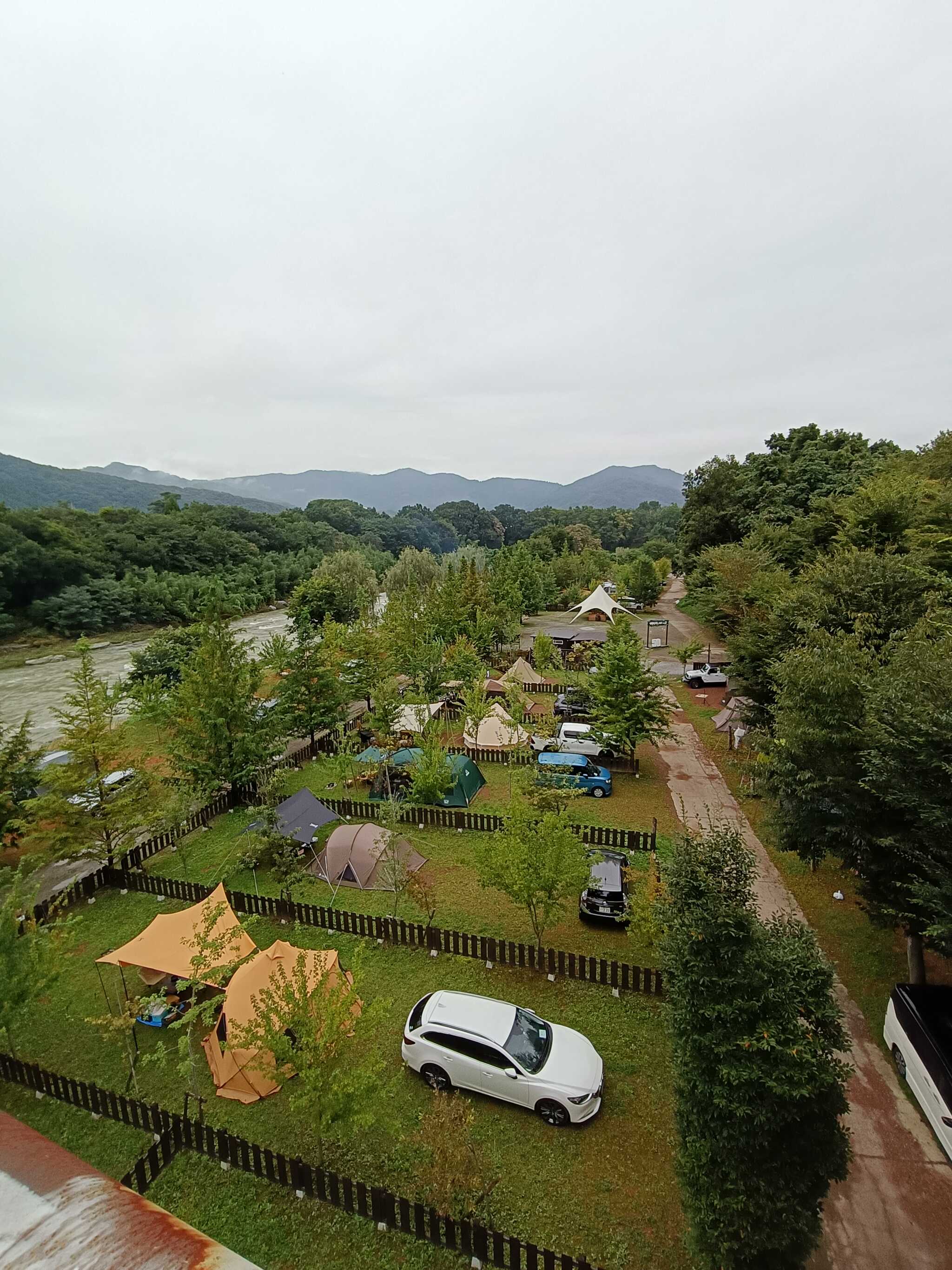 連日の雨で荒川の水量が増してた
