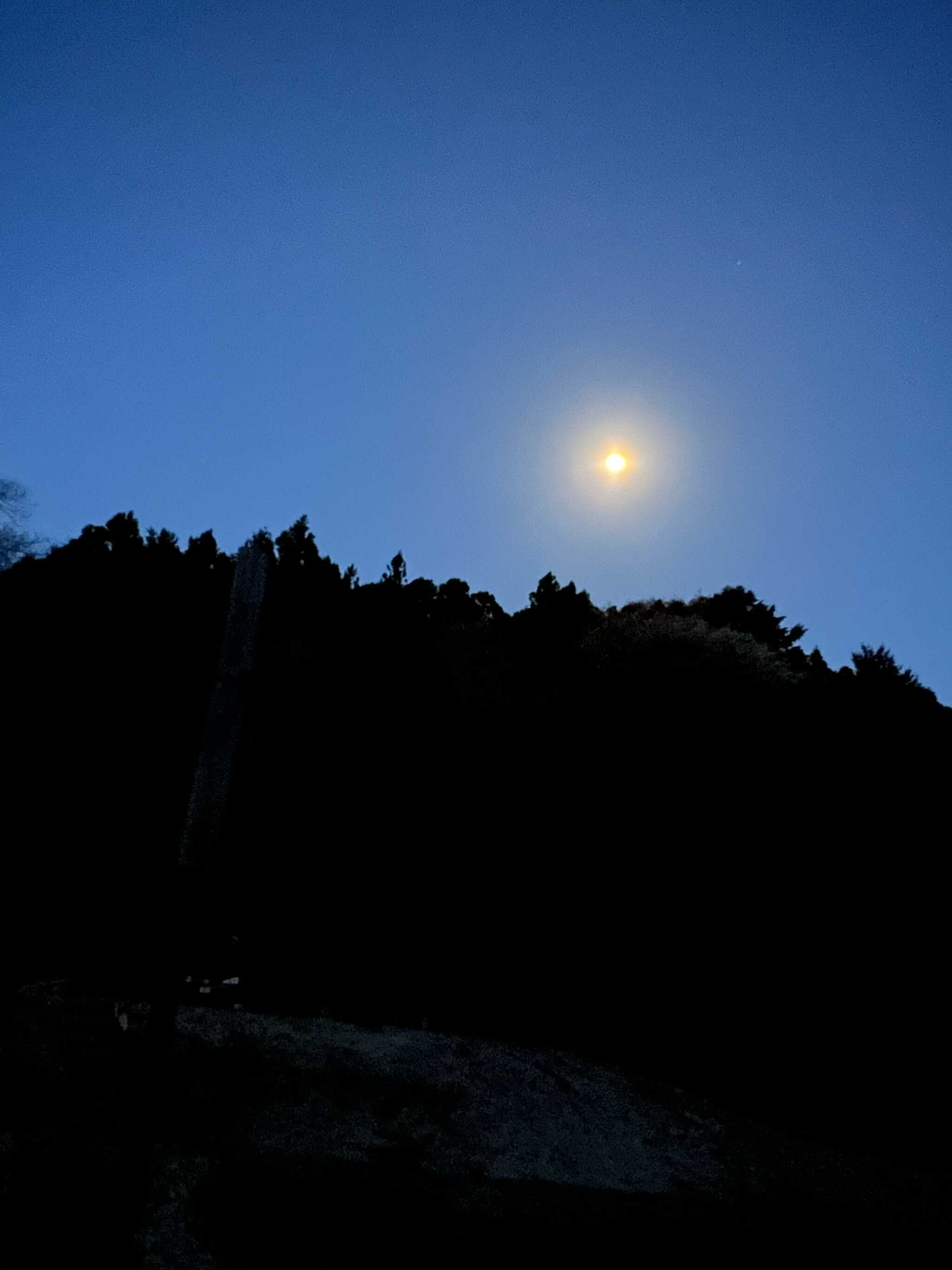 月明かりで過ごすのは、癒される