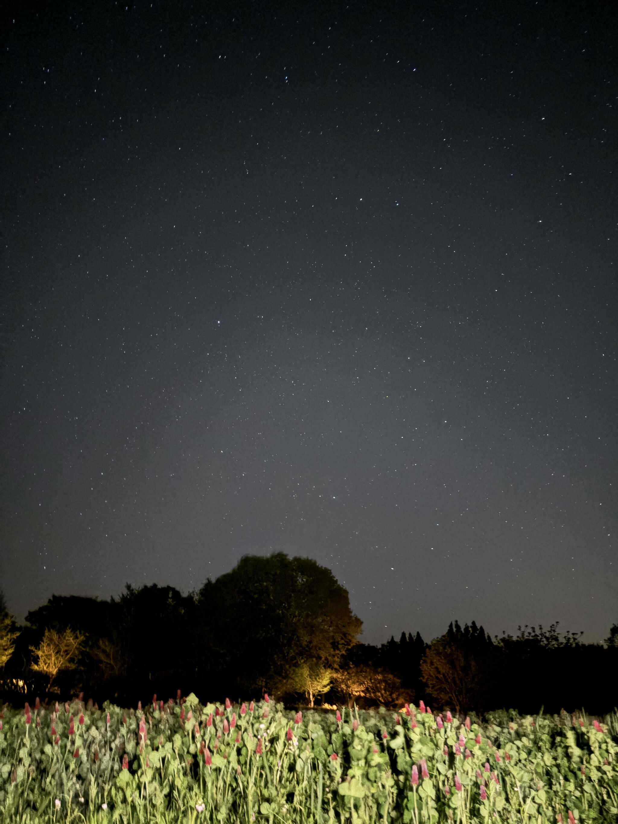 那須山サイトからの星空