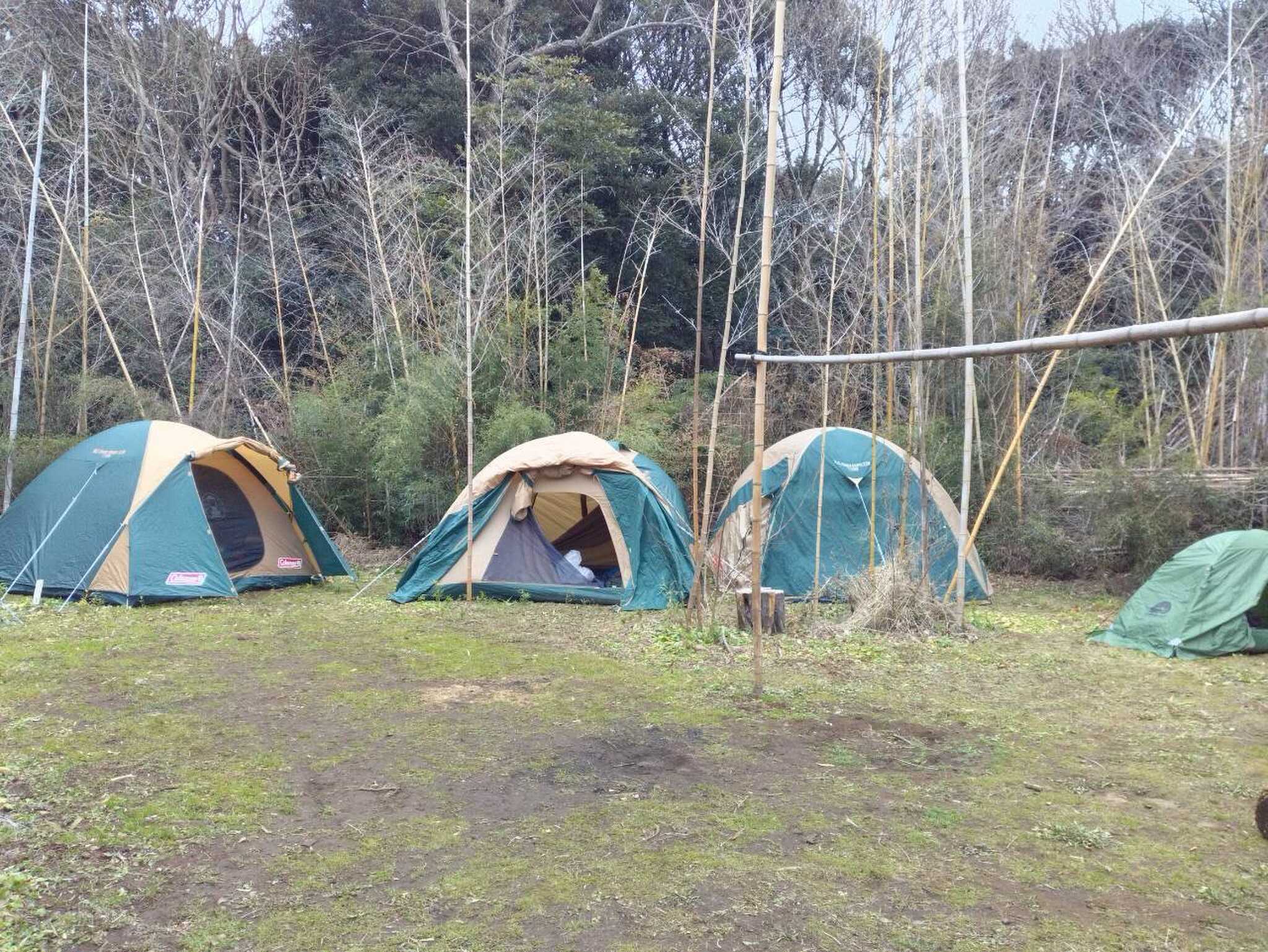 Forest Lifeの口コミ投稿写真