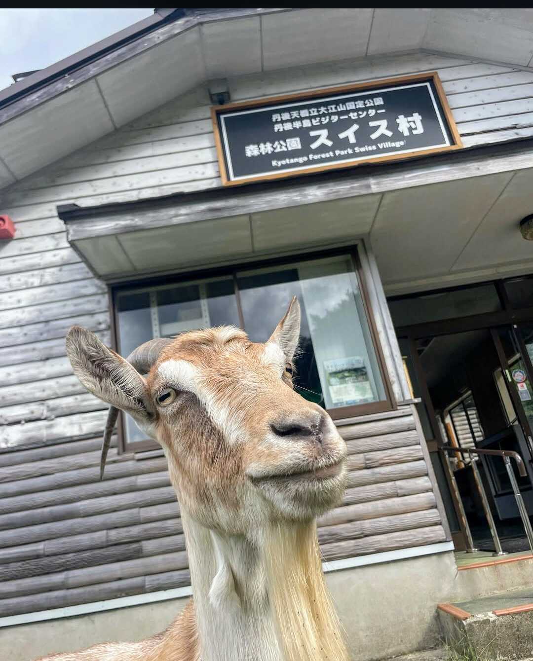 受付