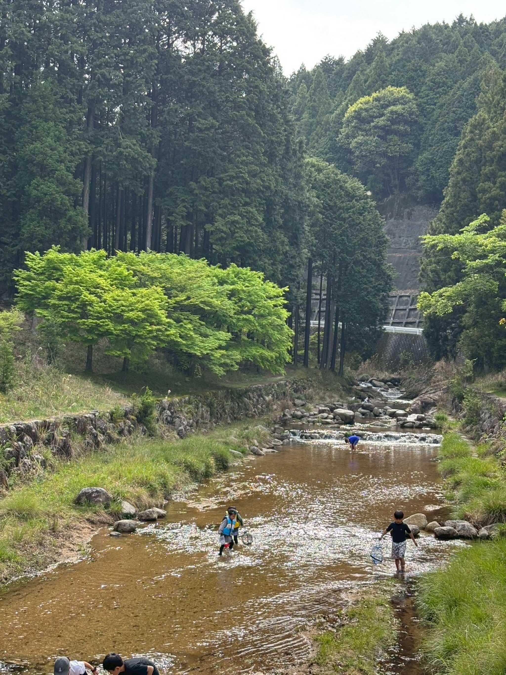 キャンプ場内の川