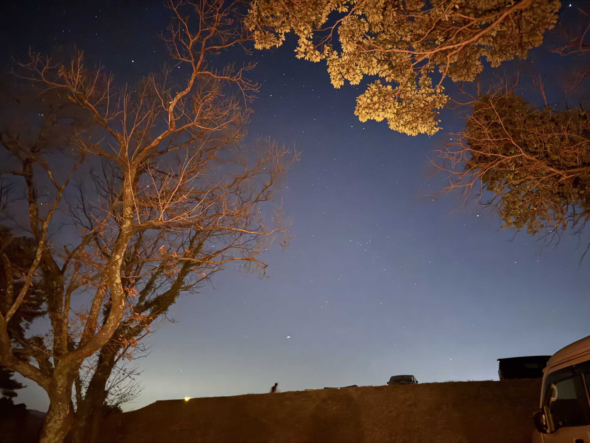林間サイトFからの星空