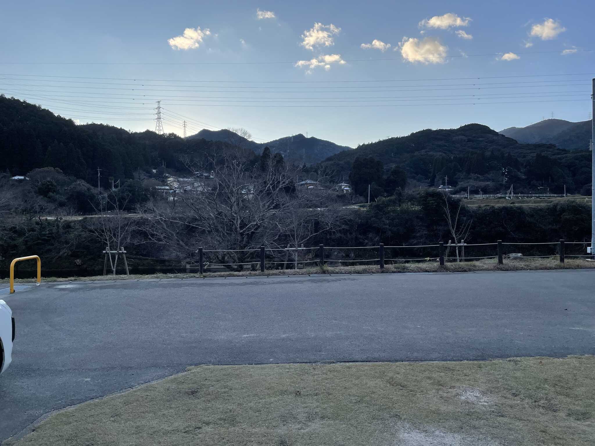 8番区画からの眺め
