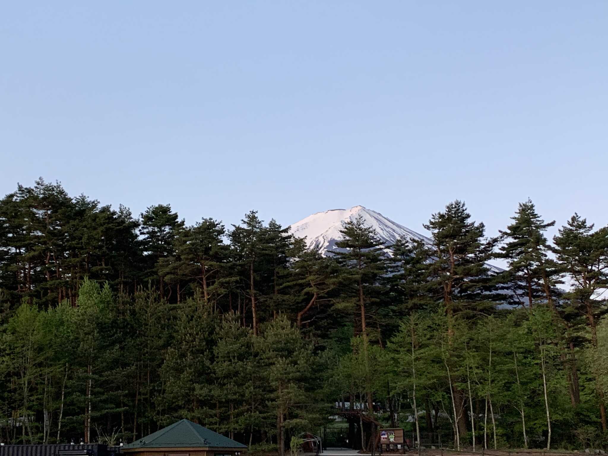 サイトからの富士山