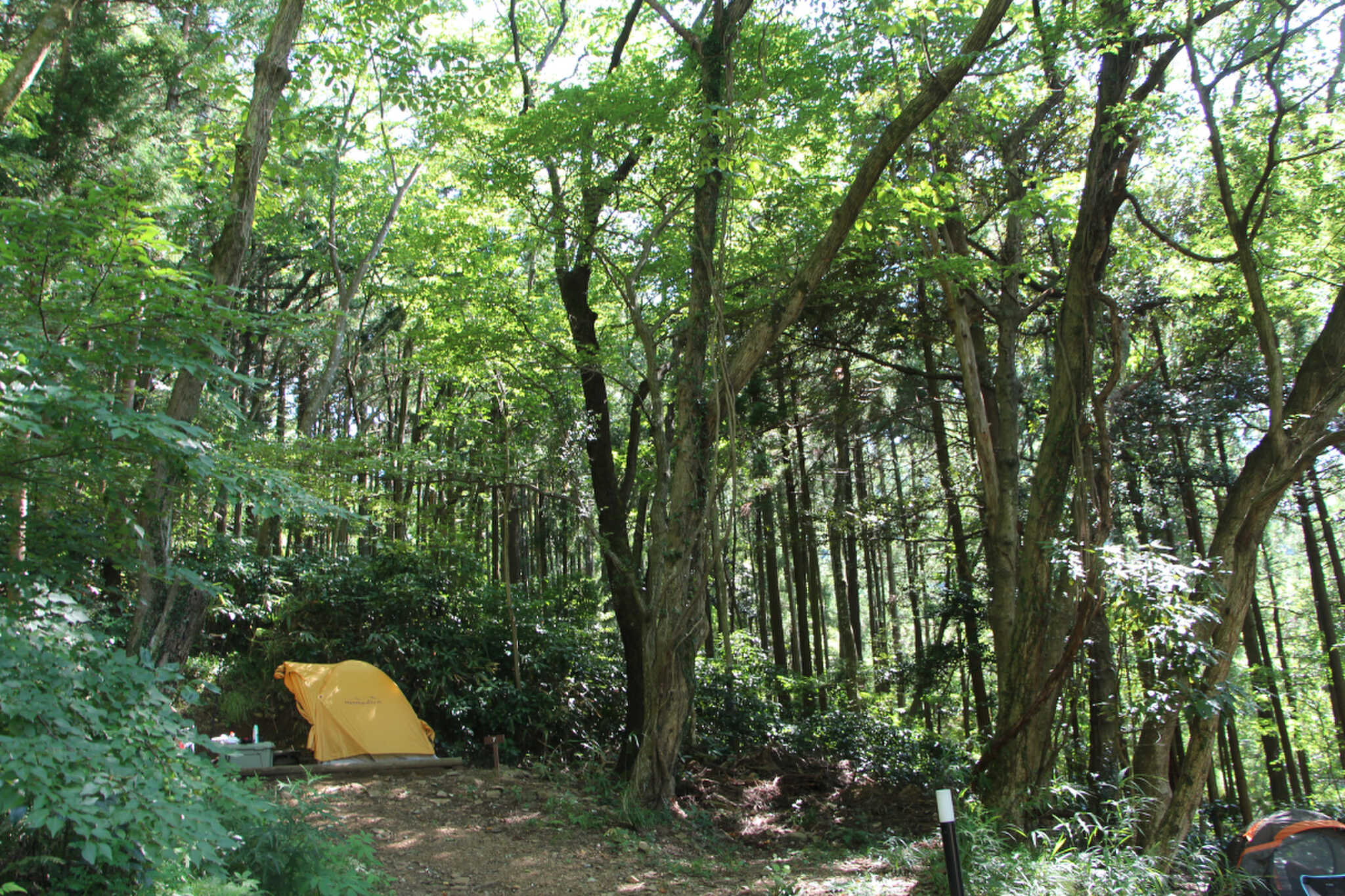 山側