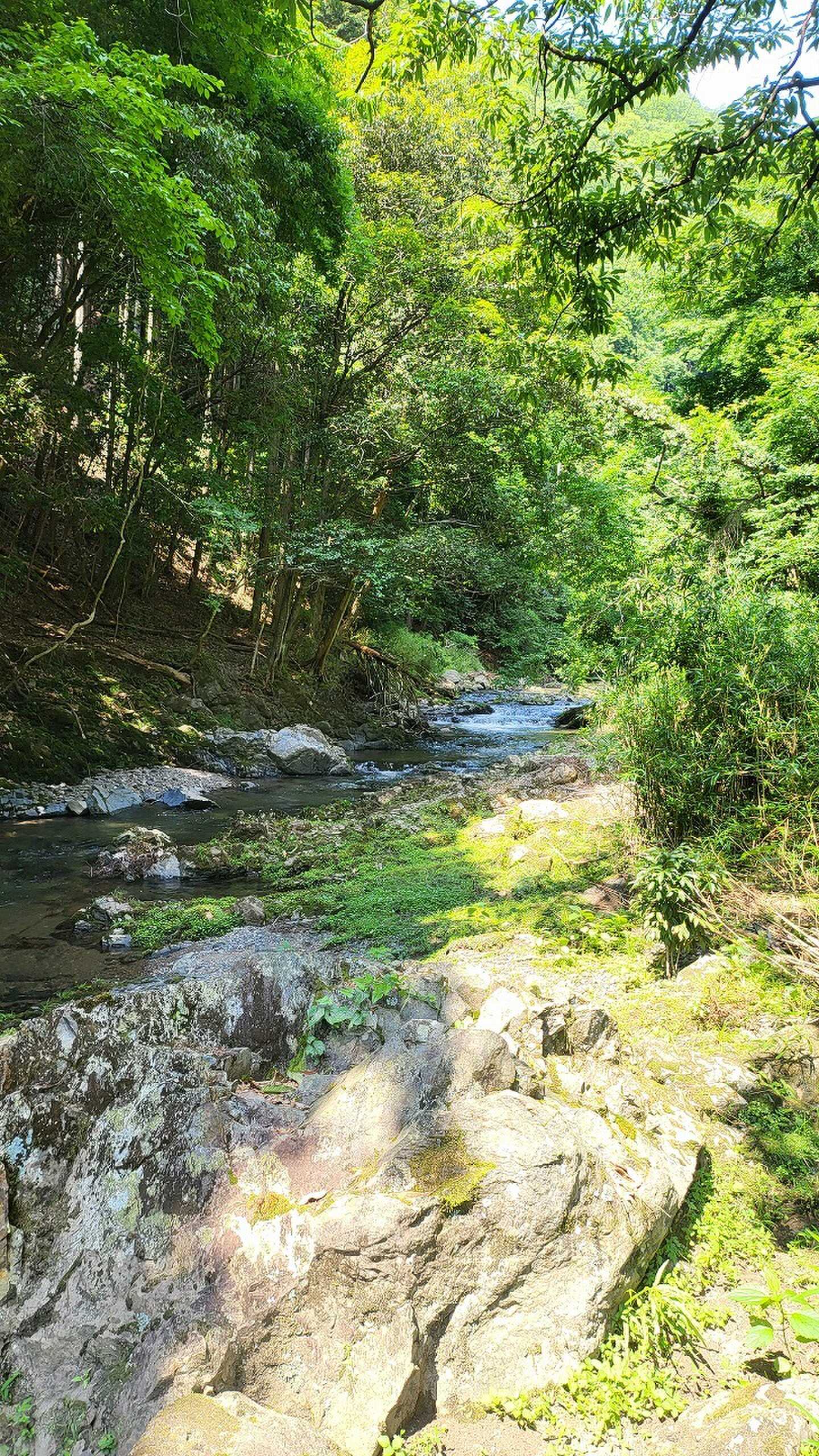 目の前の川