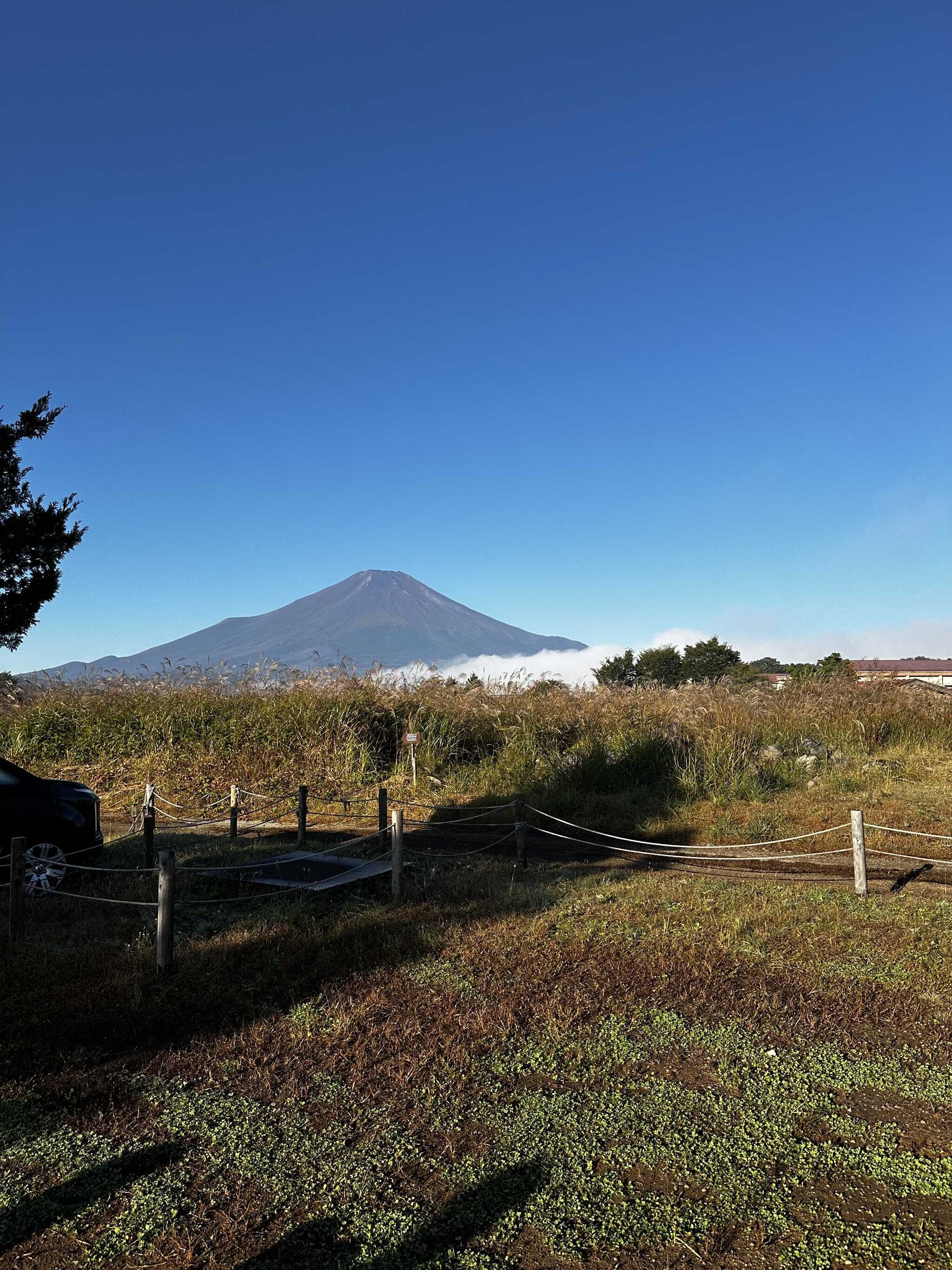 富士山見れます
