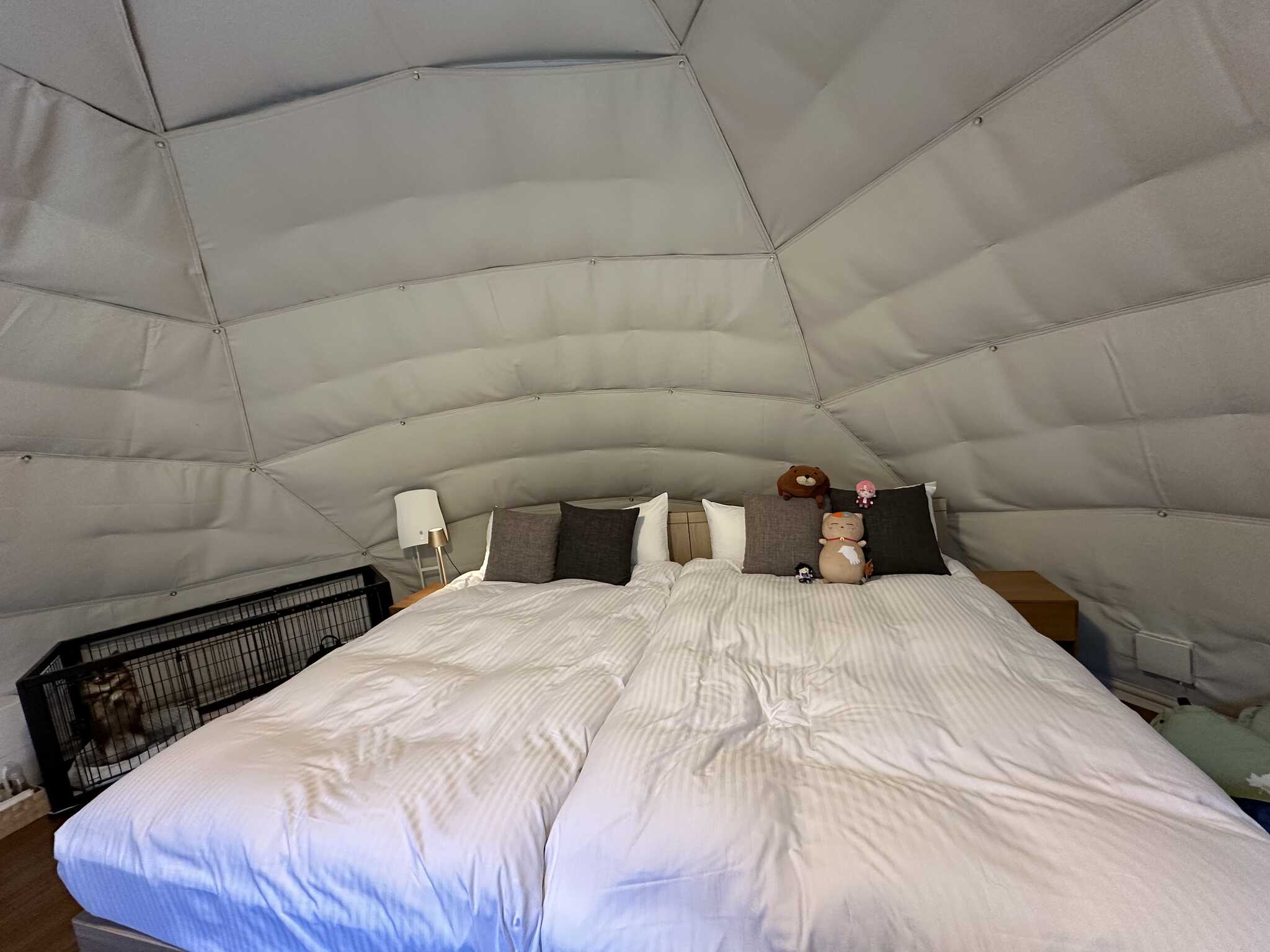 ベットも綺麗、充電も沢山。スピーカーBOSE。ワンちゃんは横に綺麗なゲージがあり安心。