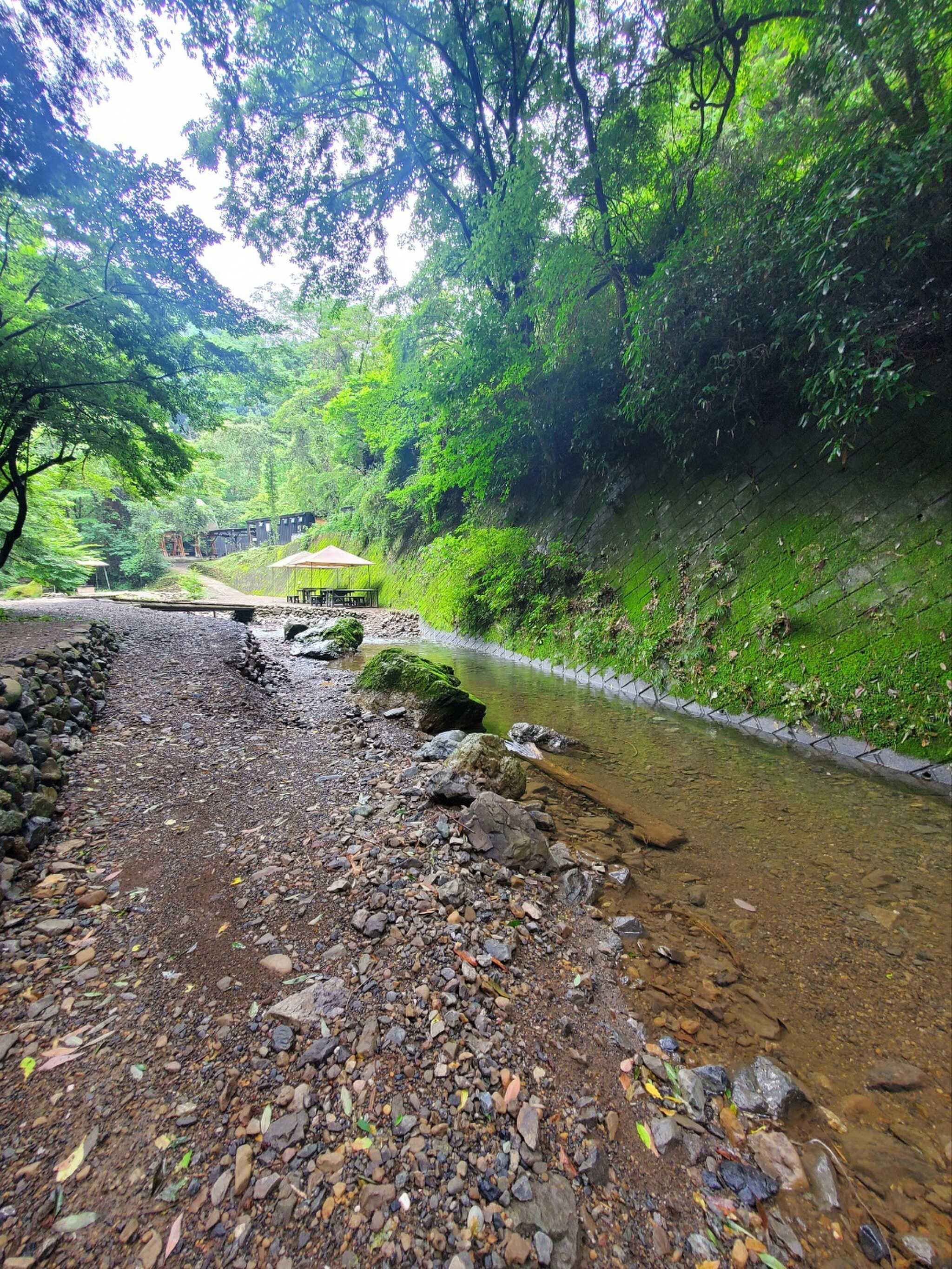 川沿いサイトから眺める風景