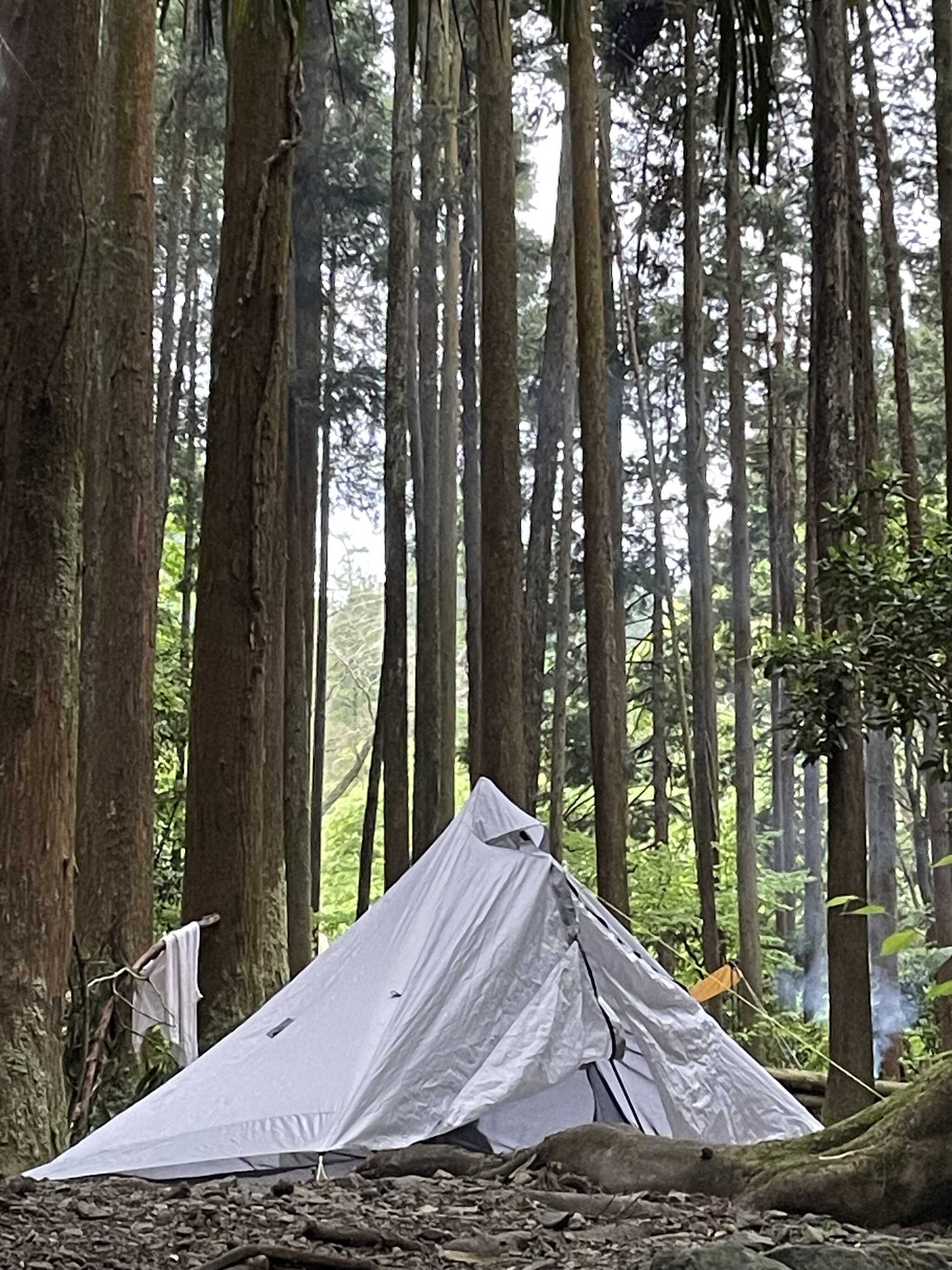 自然に溶け込める