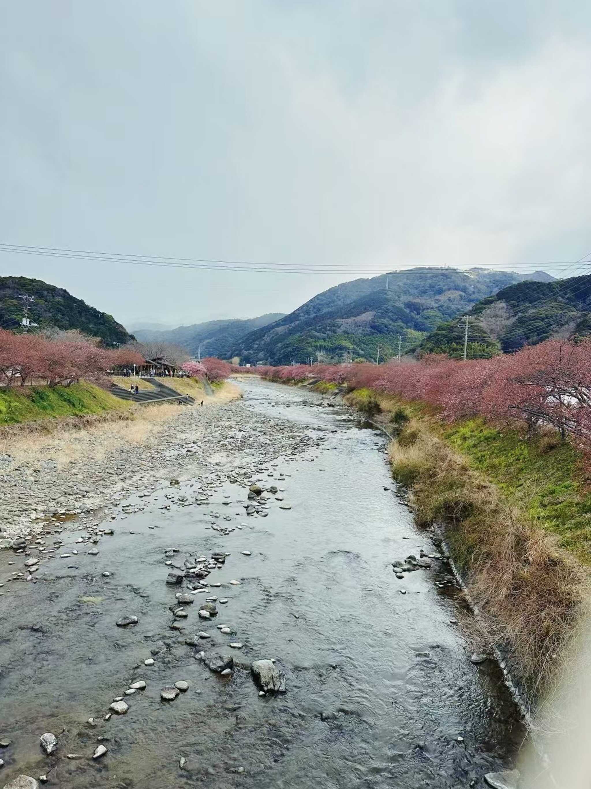 河津川