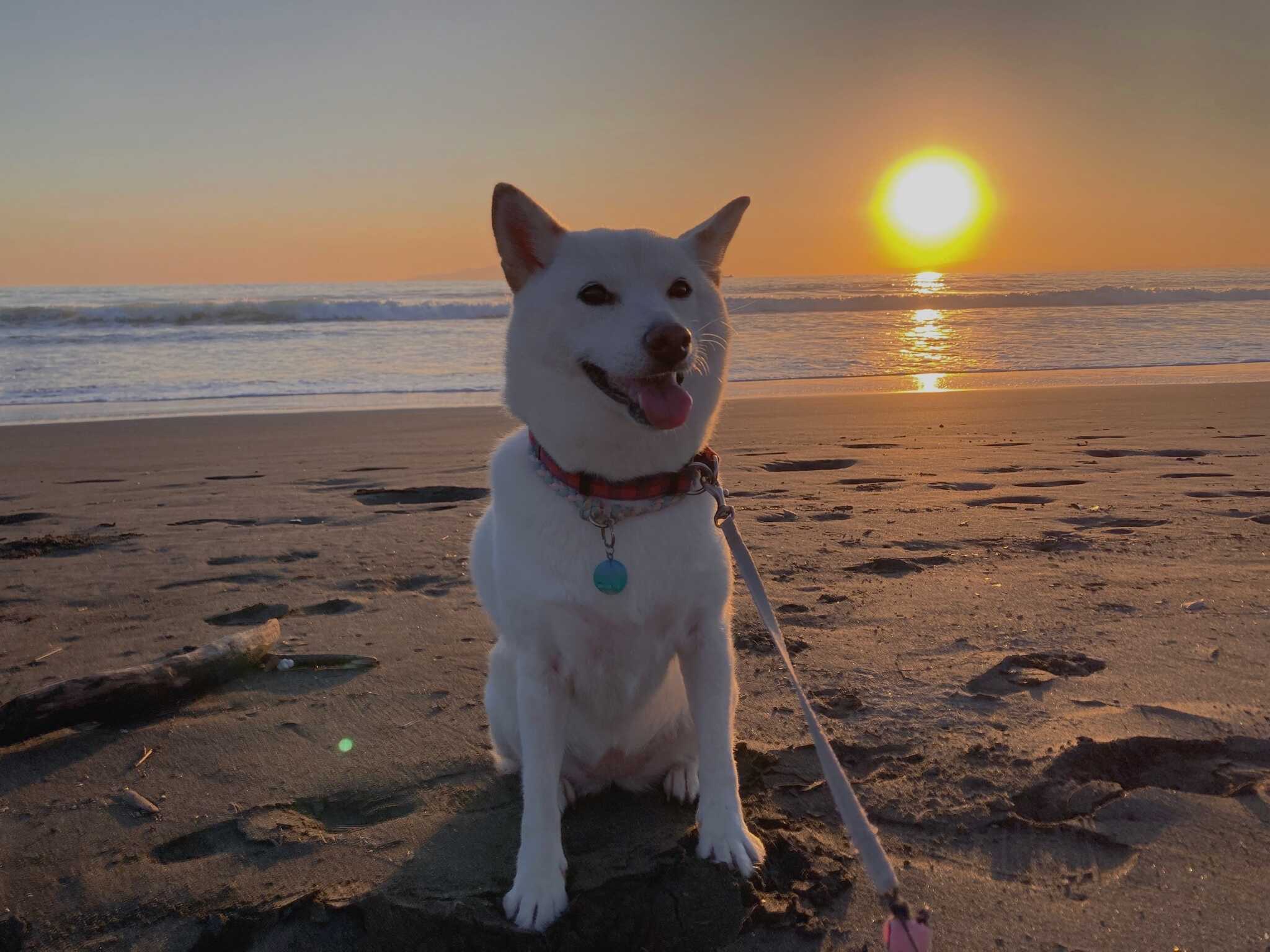 平砂浦海岸の夕日