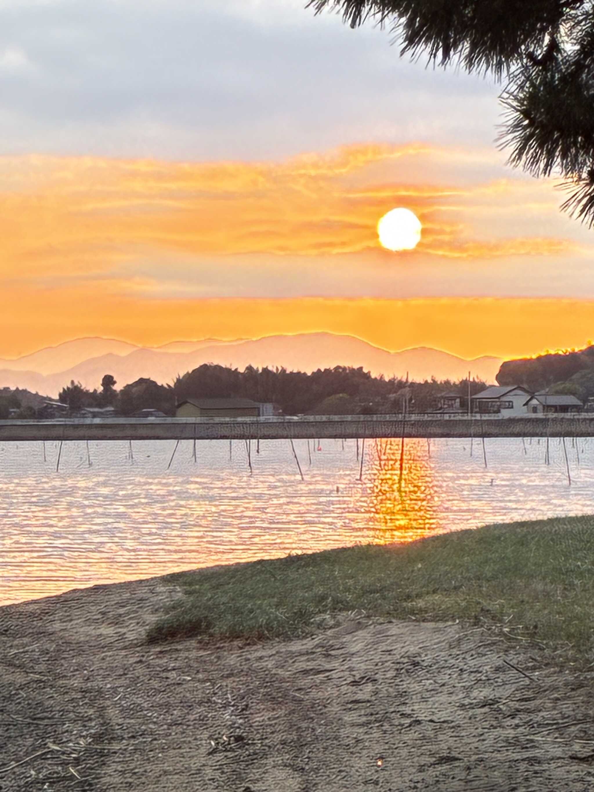 サイトから見える夕陽