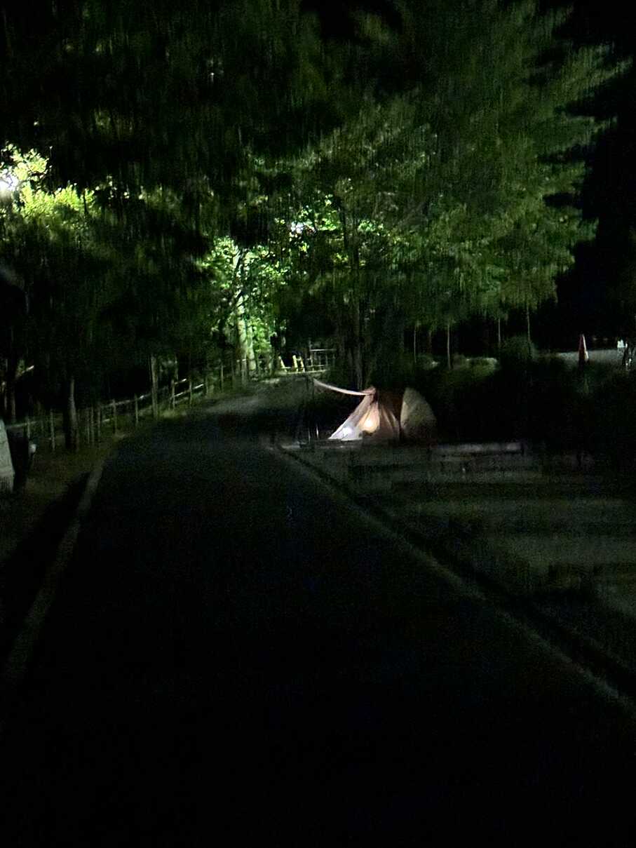 Bサイト夜間