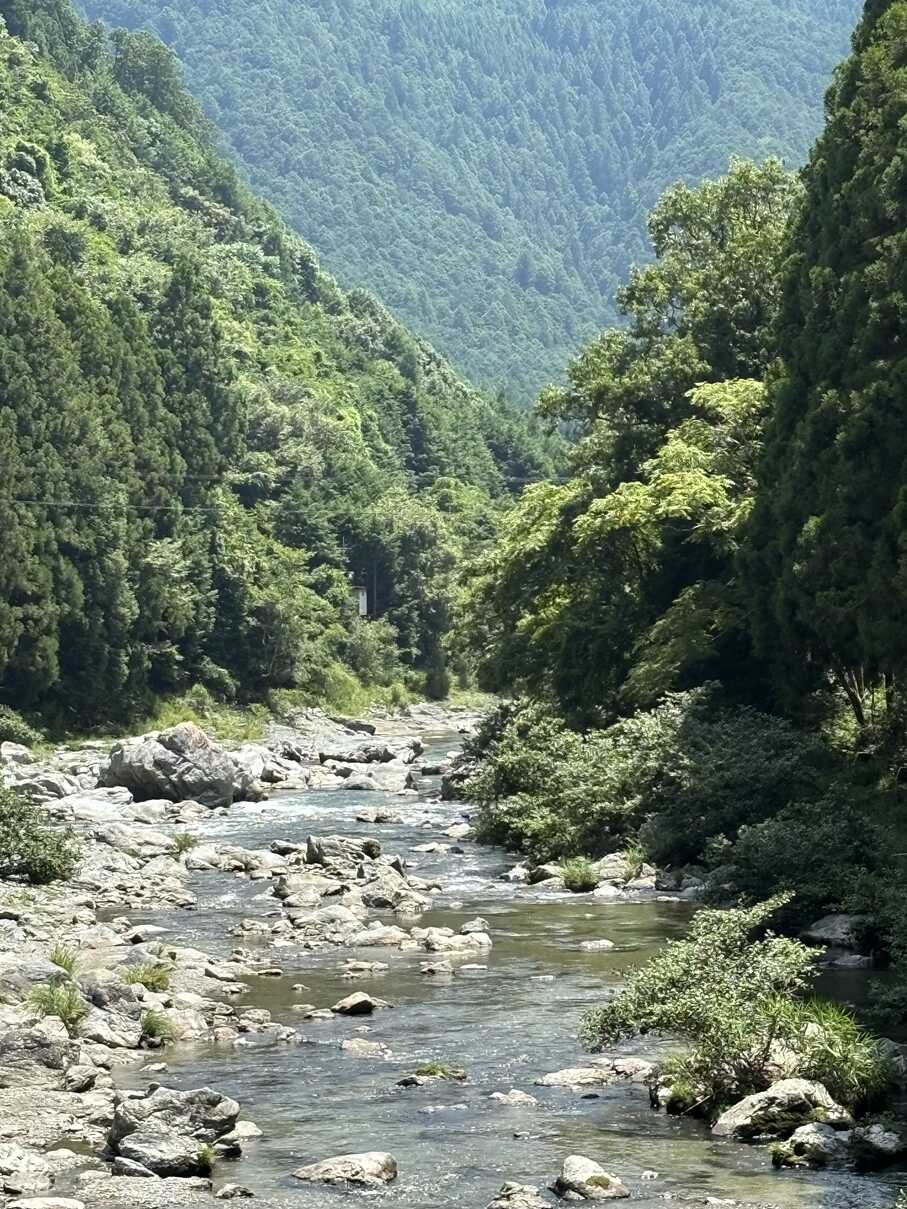 ふるさと村橋の上より