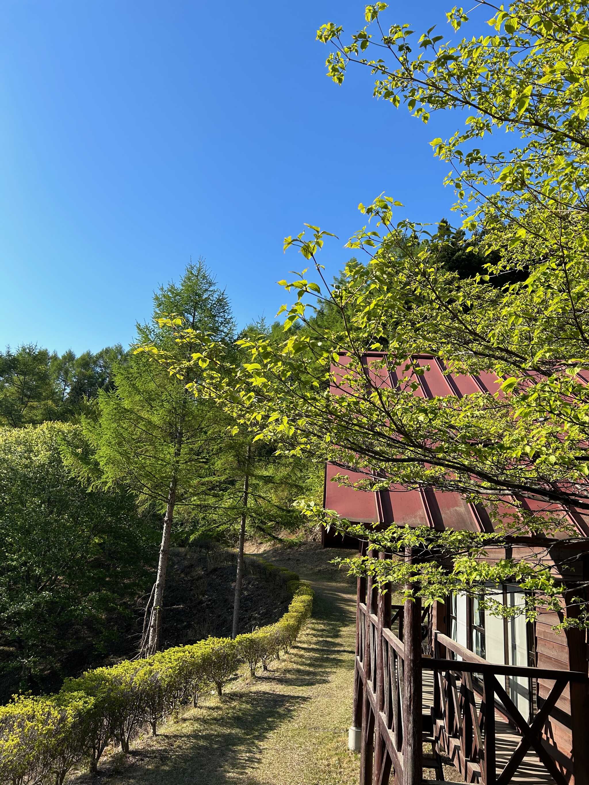 トントゥなんもく村キャンプ場(旧:なんもく村自然公園キャンプ場)の口コミ投稿写真