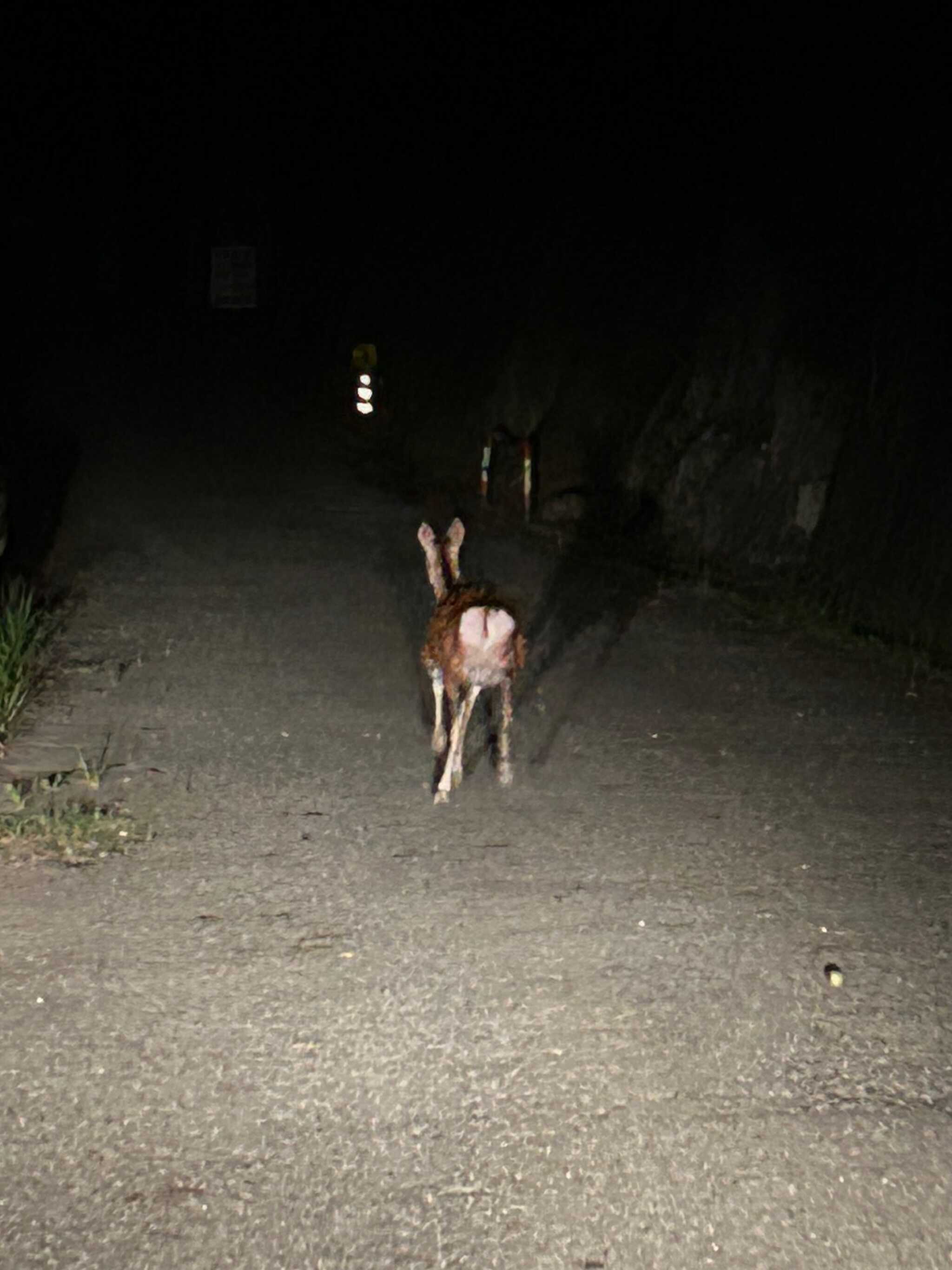 トントゥなんもく村キャンプ場(旧:なんもく村自然公園キャンプ場)の口コミ投稿写真