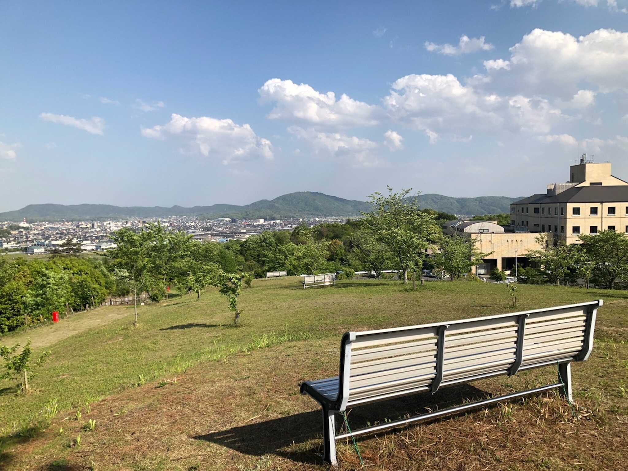 見晴らし