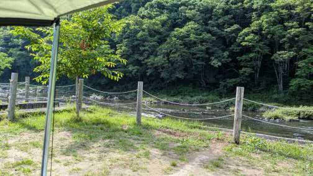 木漏れびサイトから見た久慈川
