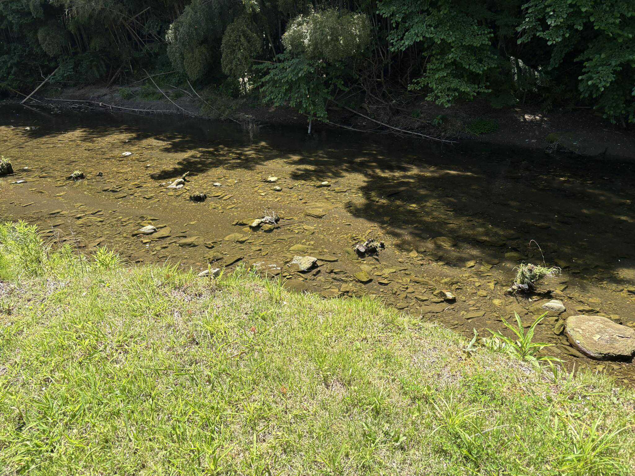 綺麗な川のせせらぎを聞きながら