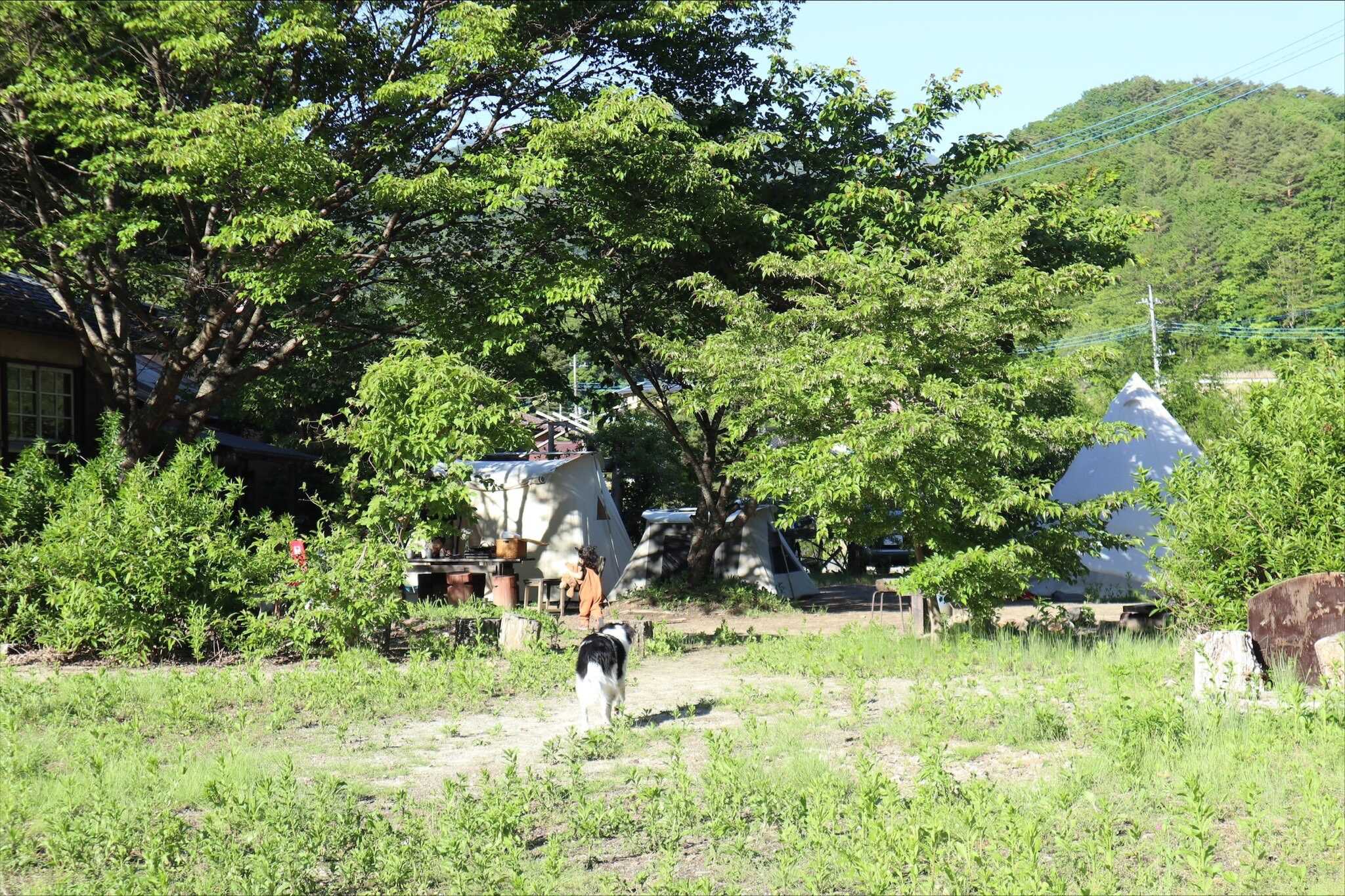 0siteの口コミ投稿写真