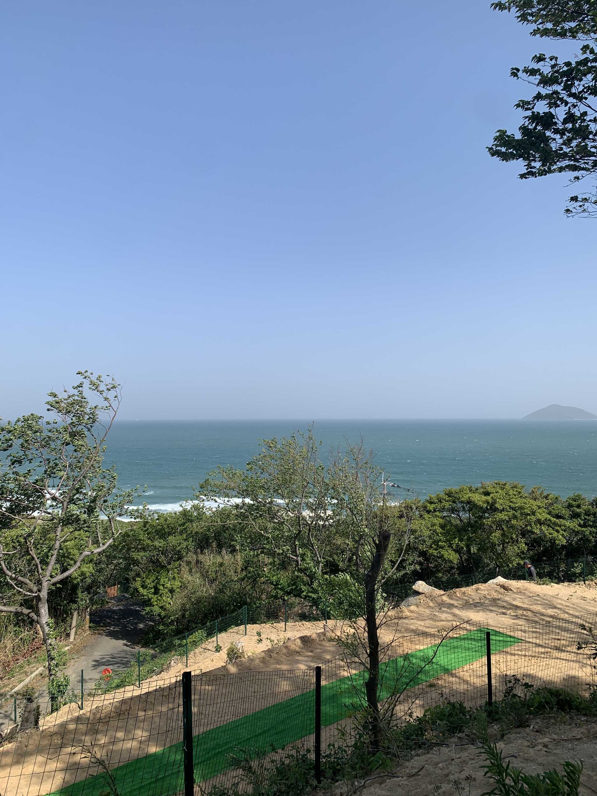 姉子の浜が一望できて絶景です