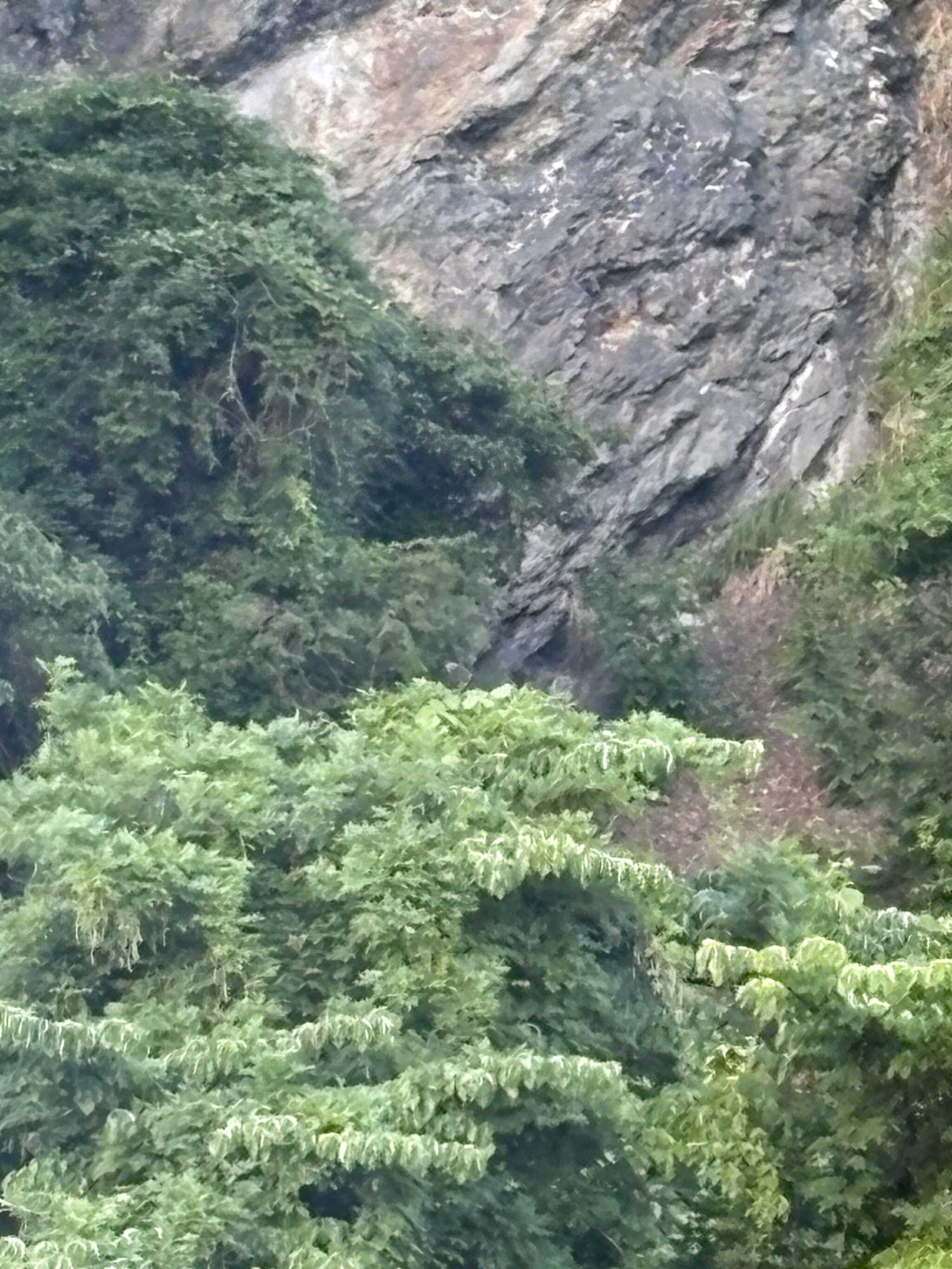 岸壁