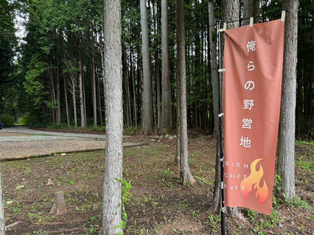 サイト内