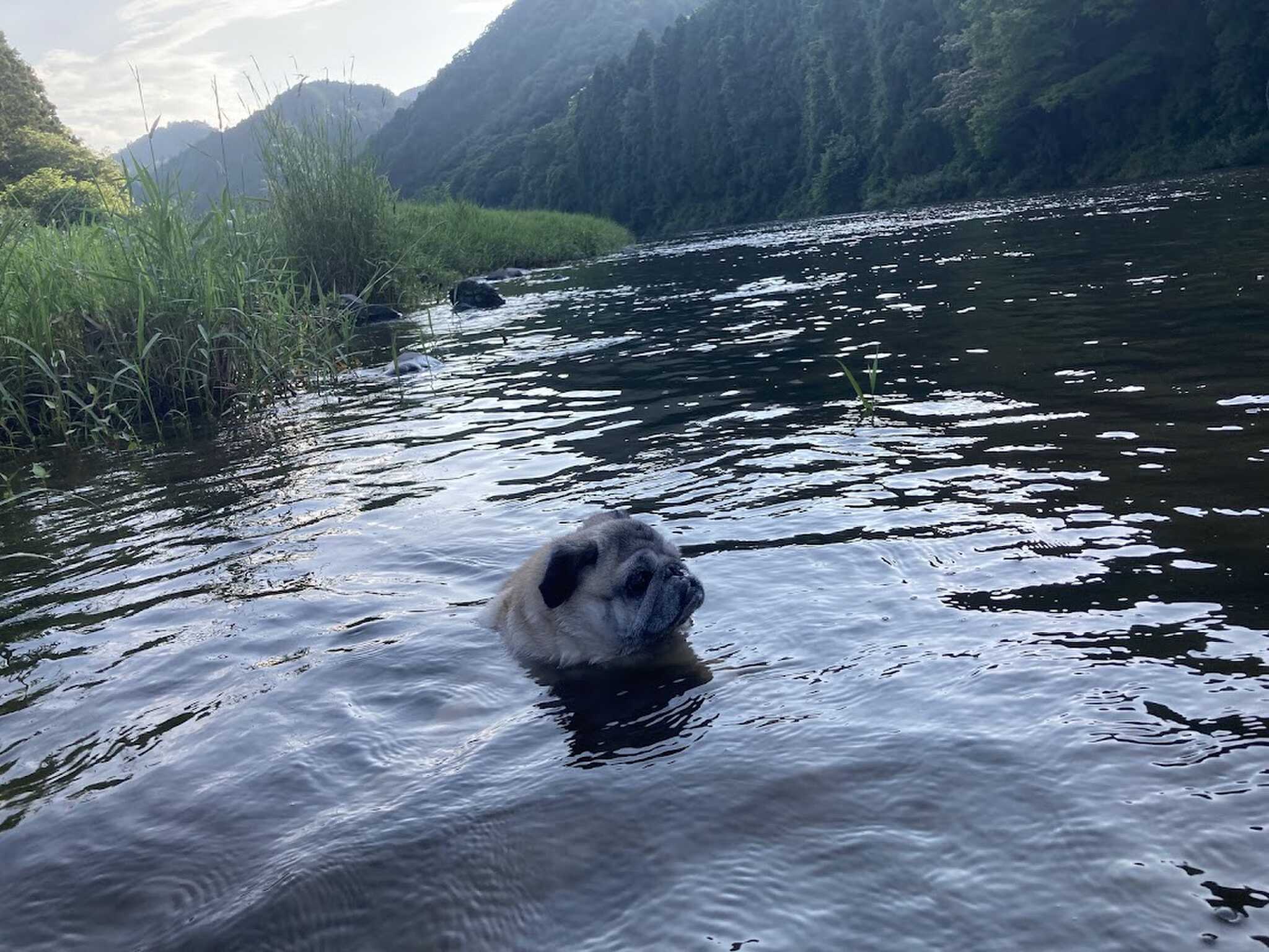 久慈川で水遊び