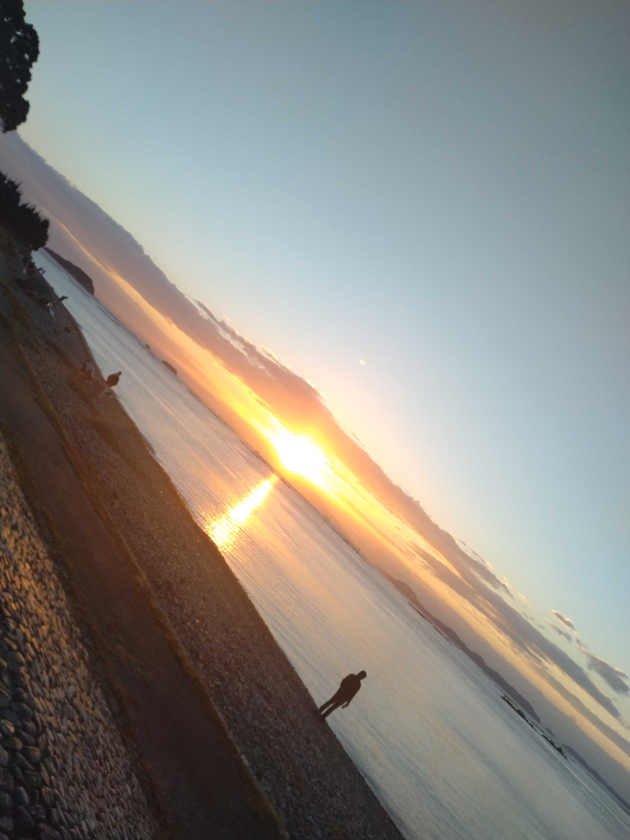 丸山県民サンビーチの写真 3枚目