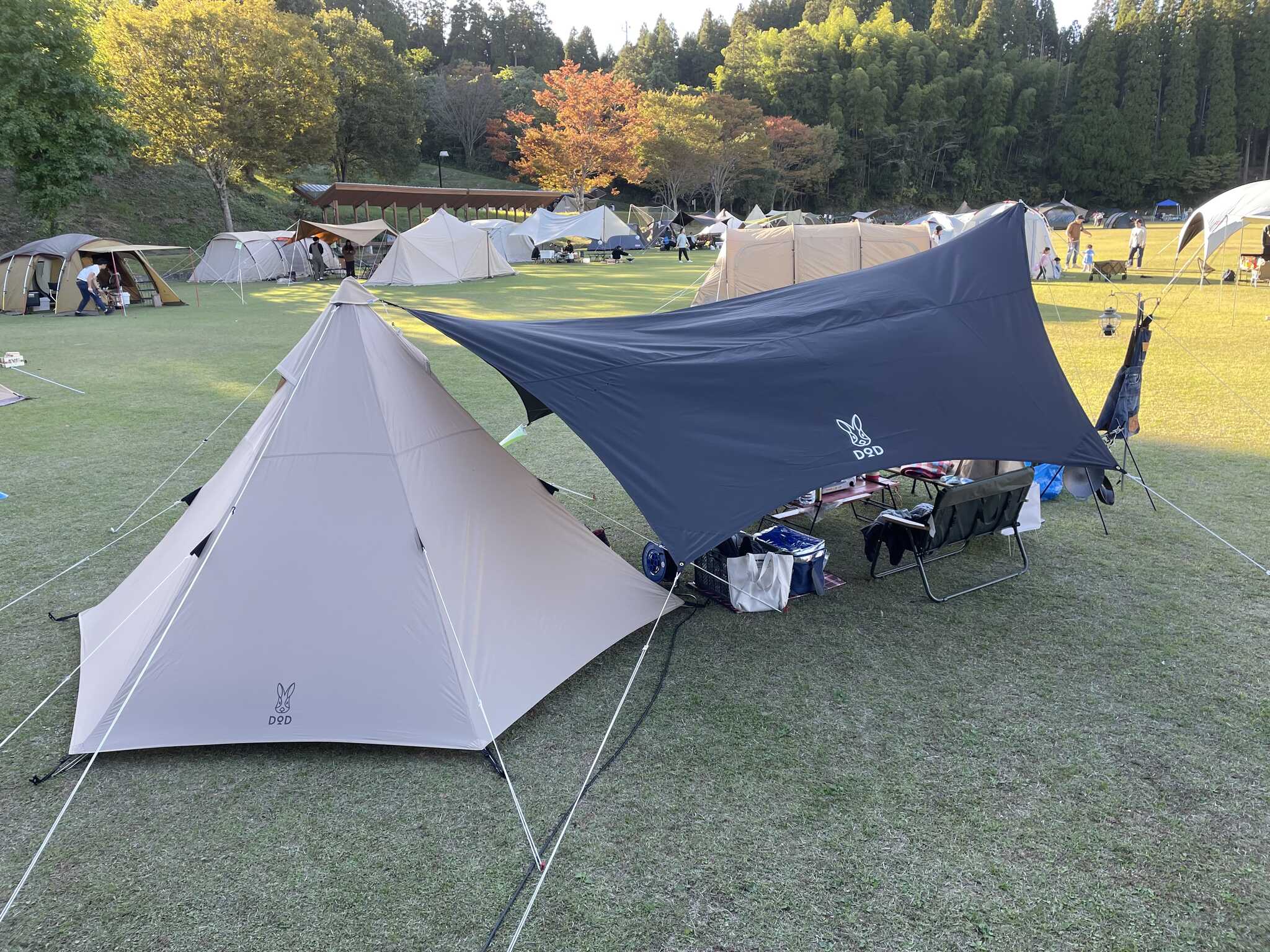 テントとタープ設営できる