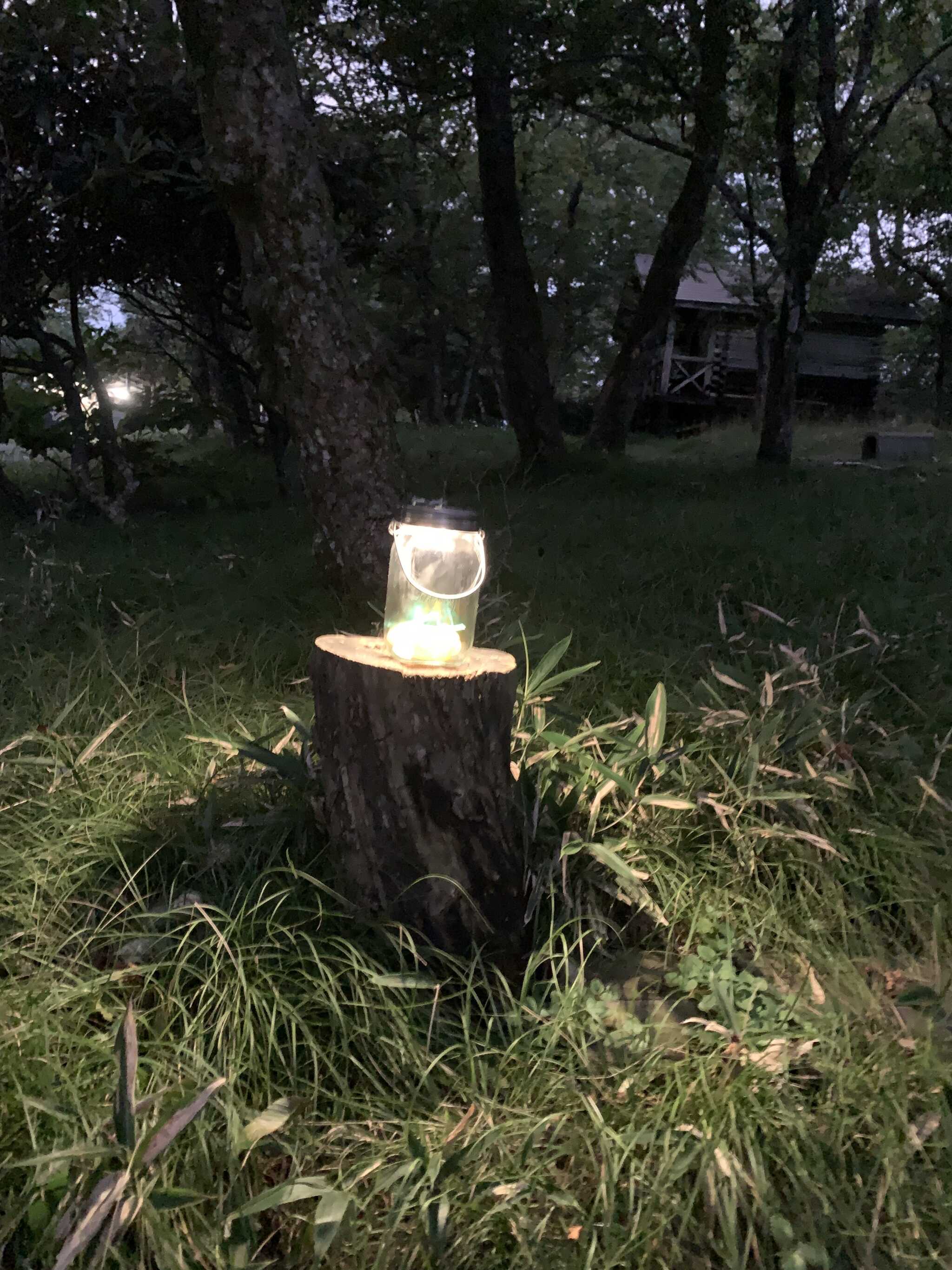 山の中なので暗くなるのはあっという間でした。