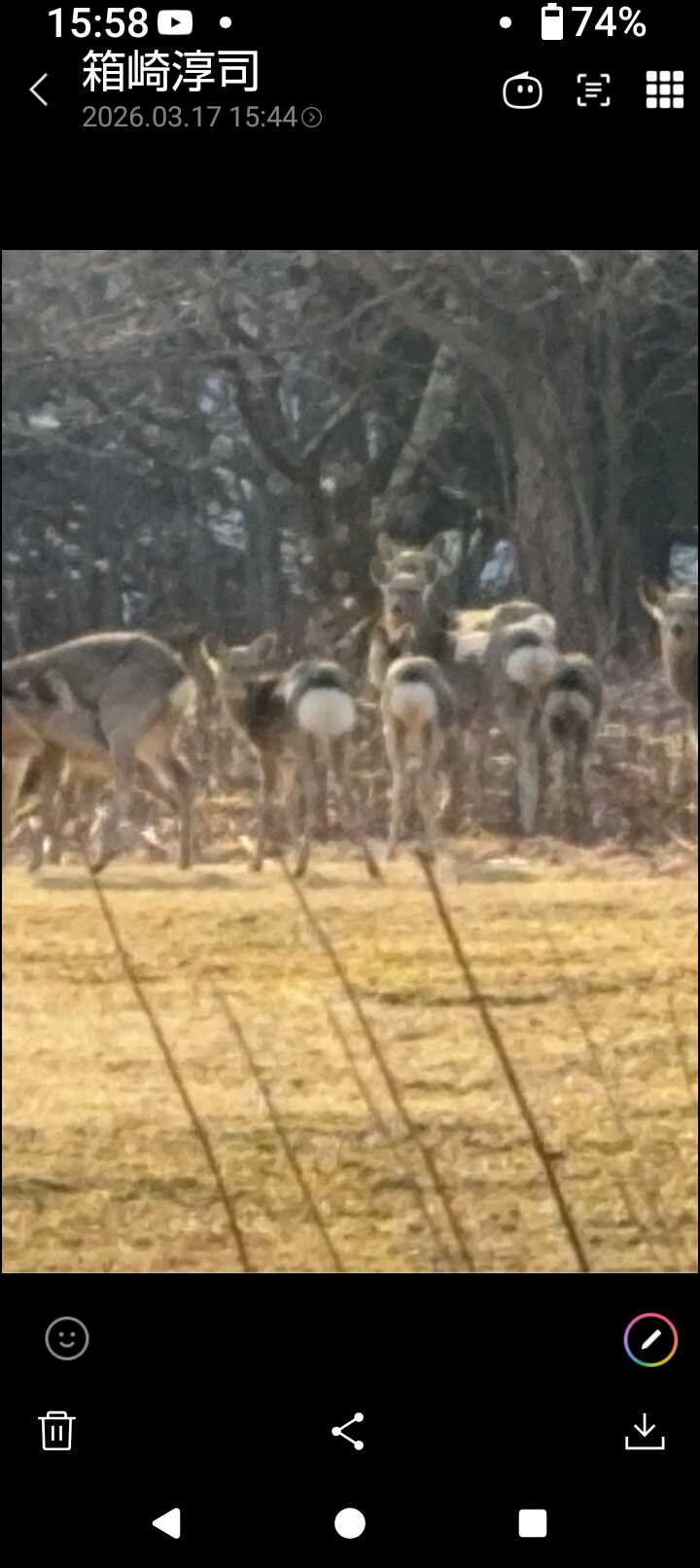 鹿です