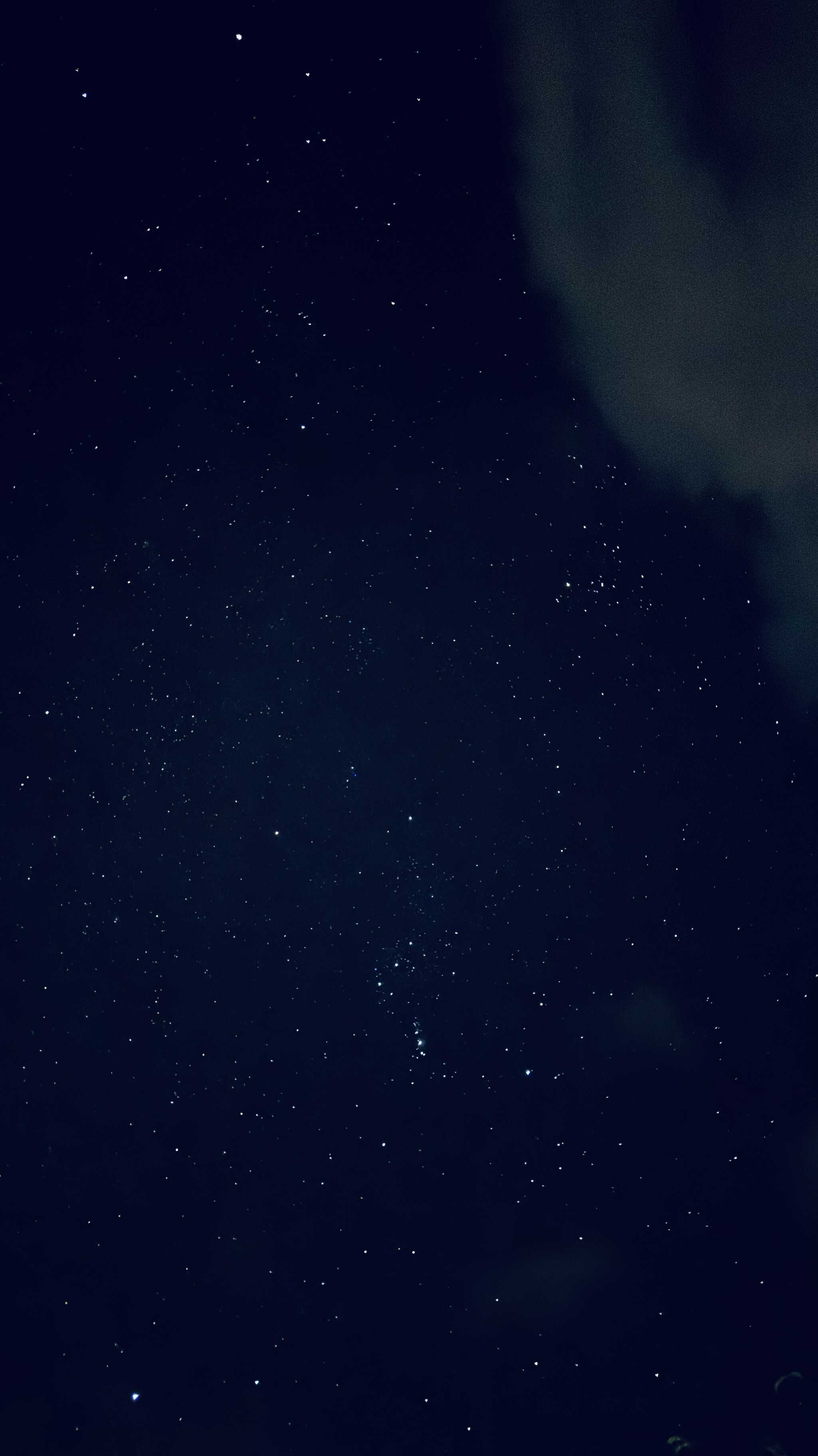 本当に説明されてるように漆黒の暗闇なので、星がとてもきれいでした!冬はもっときれいなんだとか。